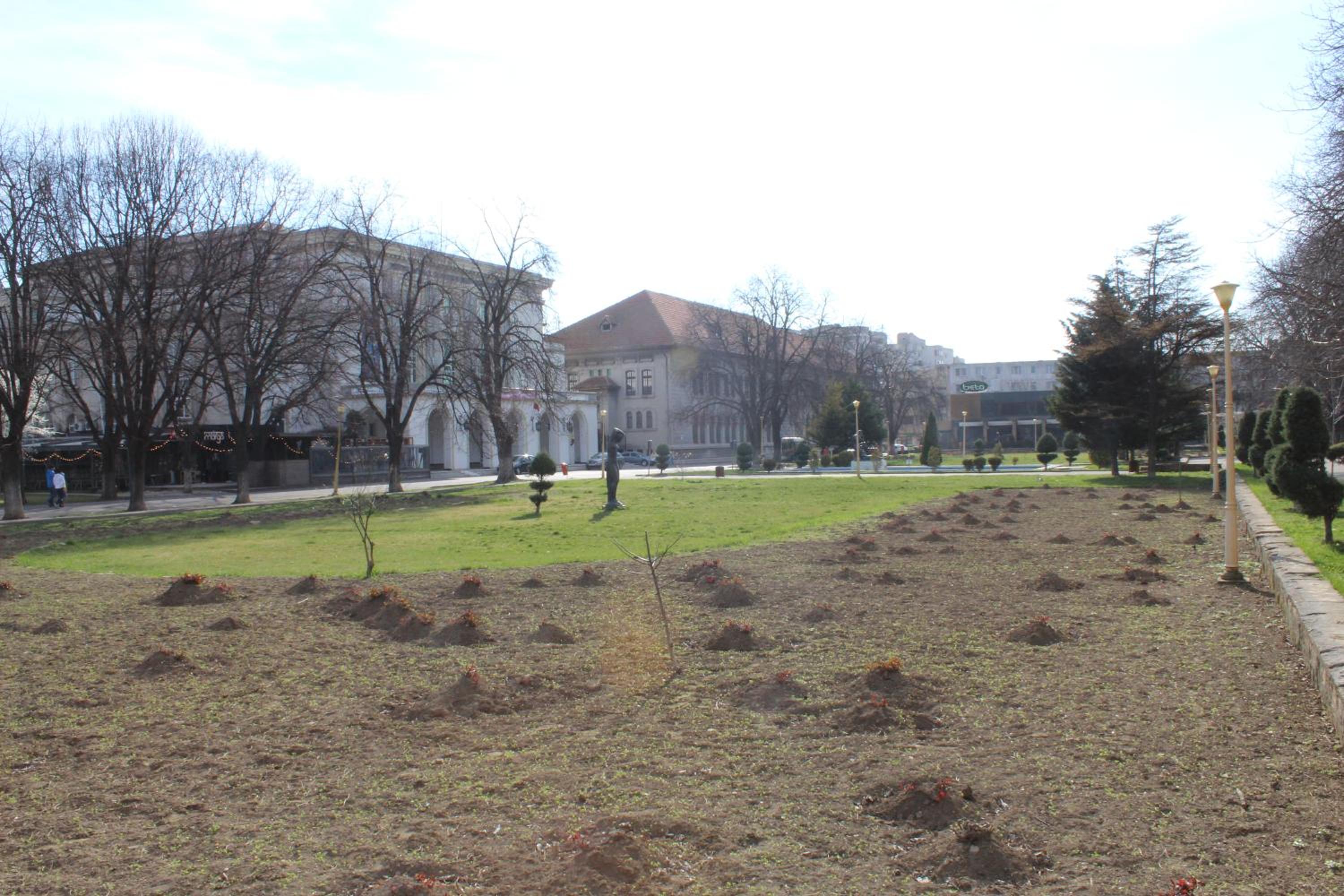 Photo 29