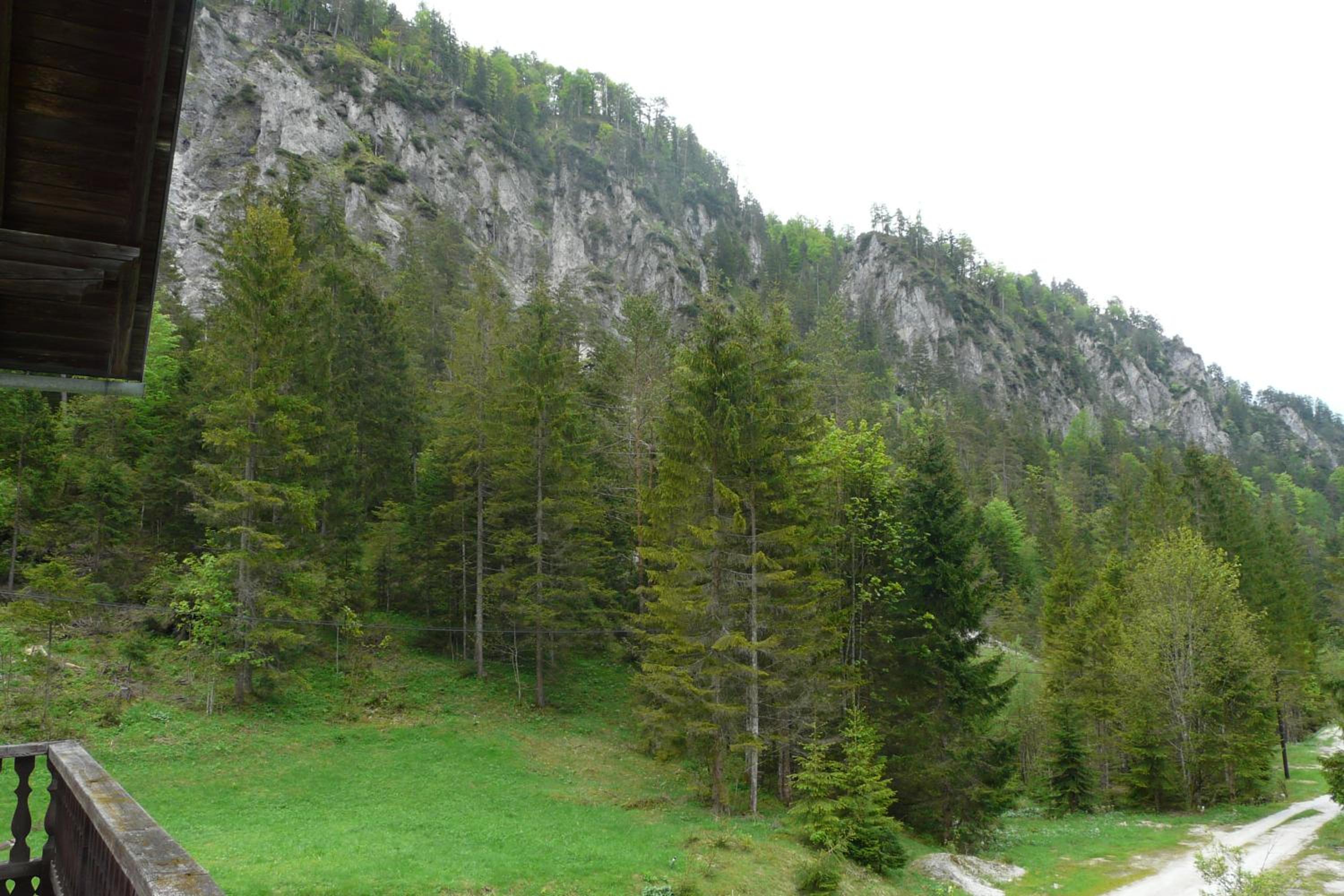Wildnisquartier Schneckengraben