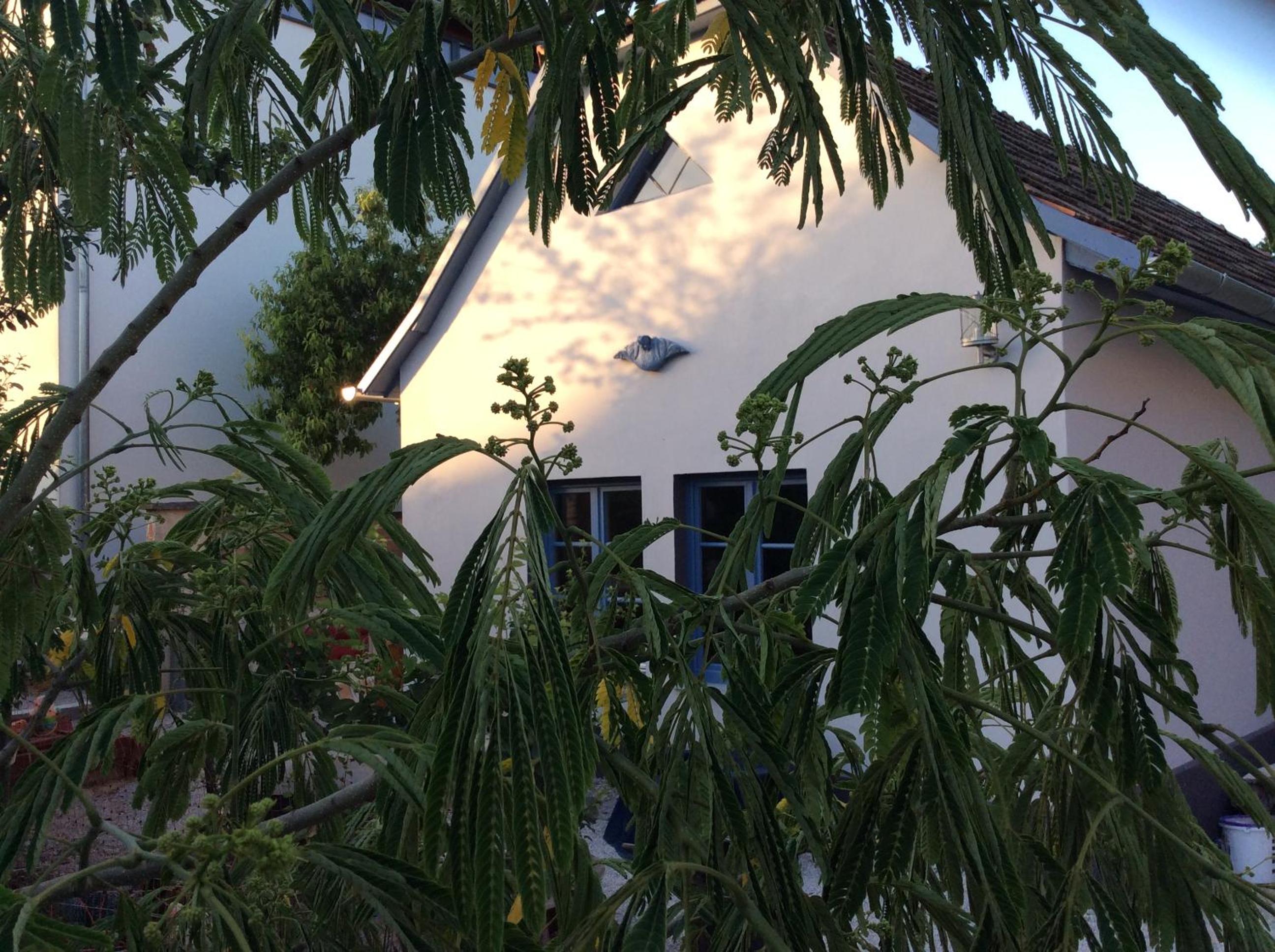 Das Nest