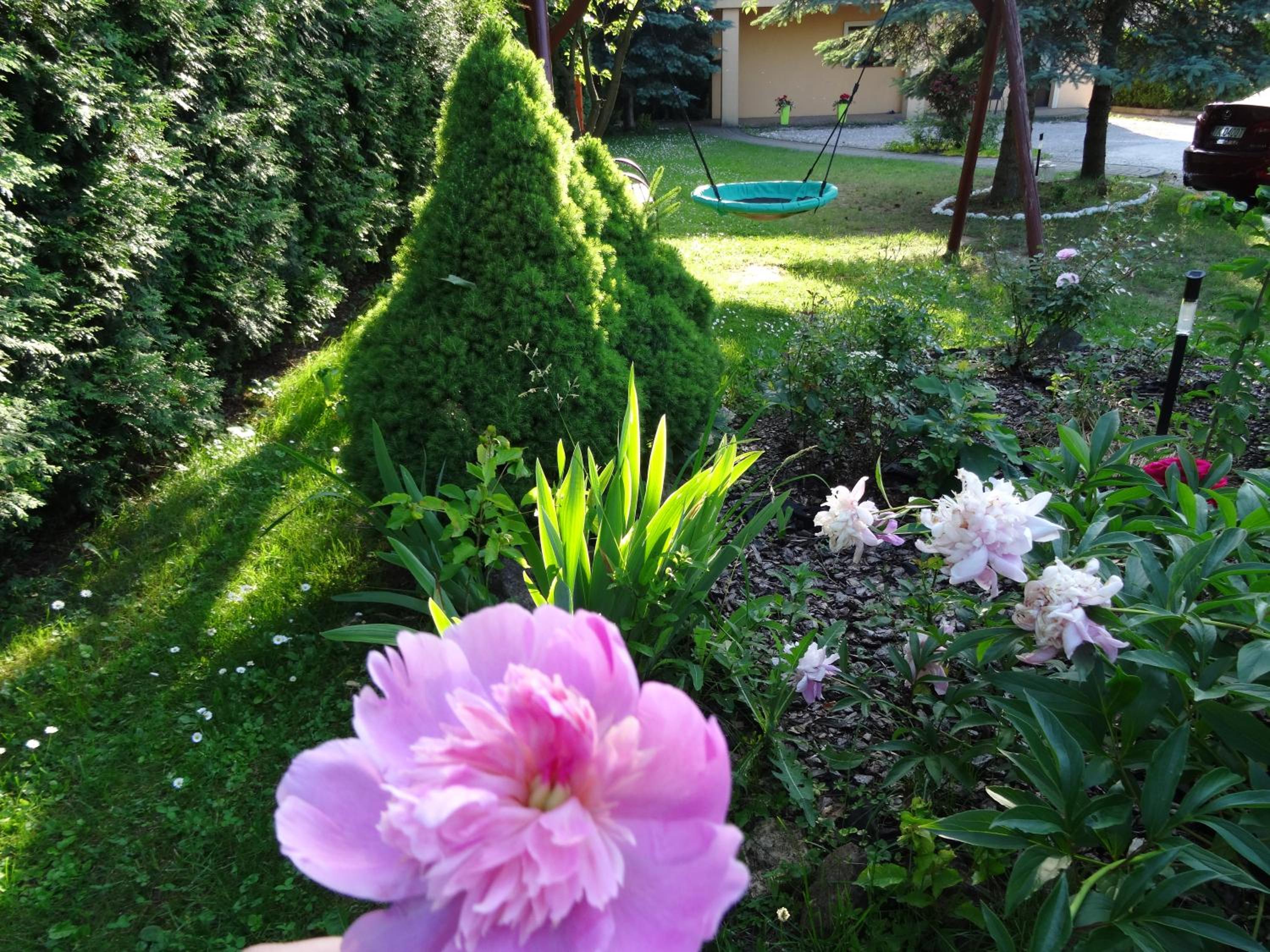 Photo 26