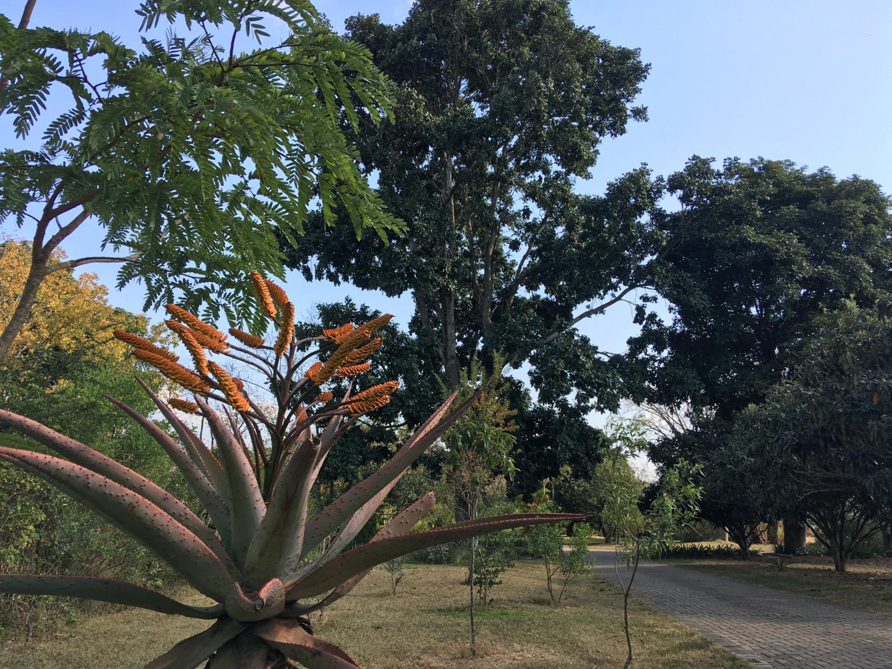 ilanda Guest House