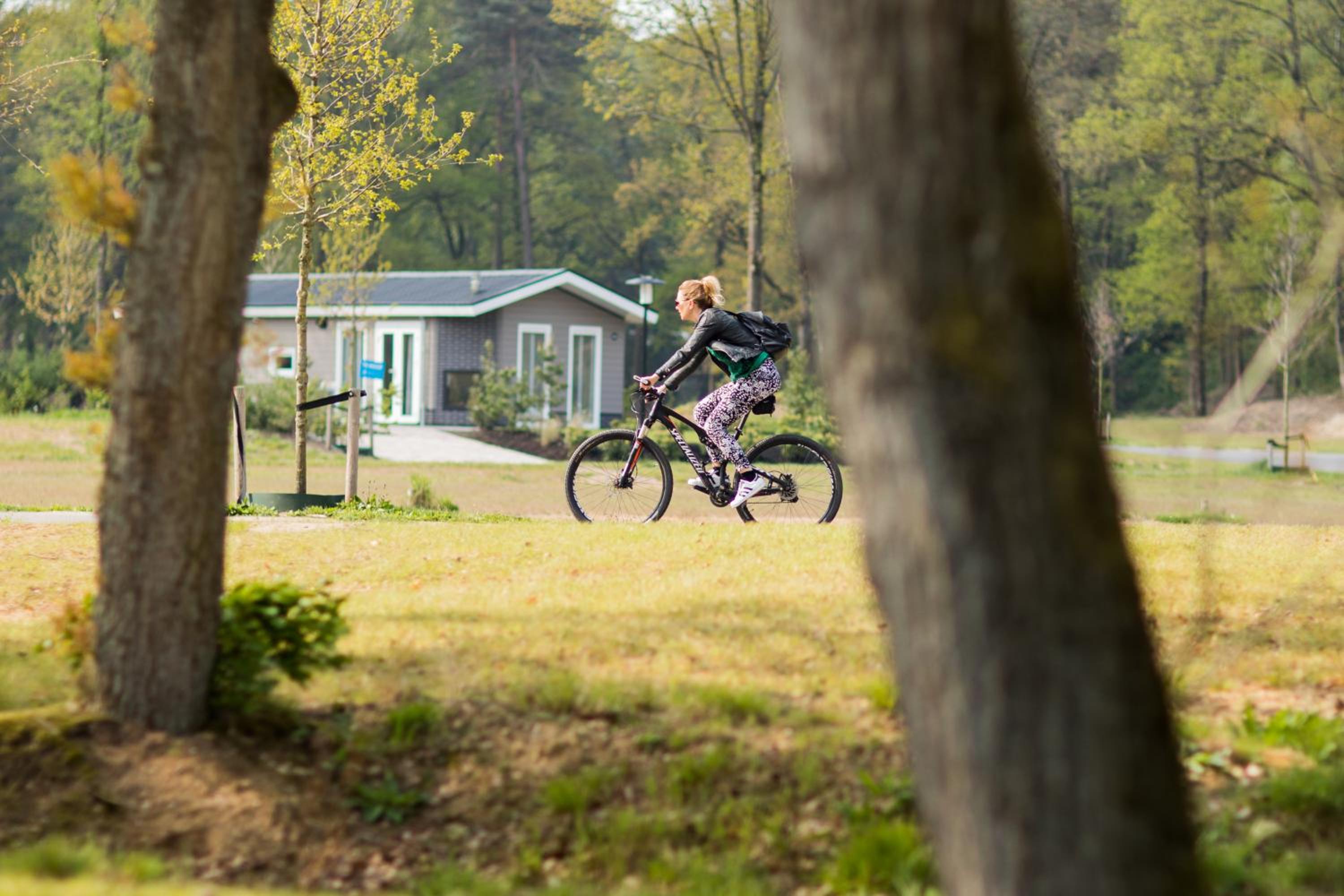 Recreatiepark Beekbergen view 3