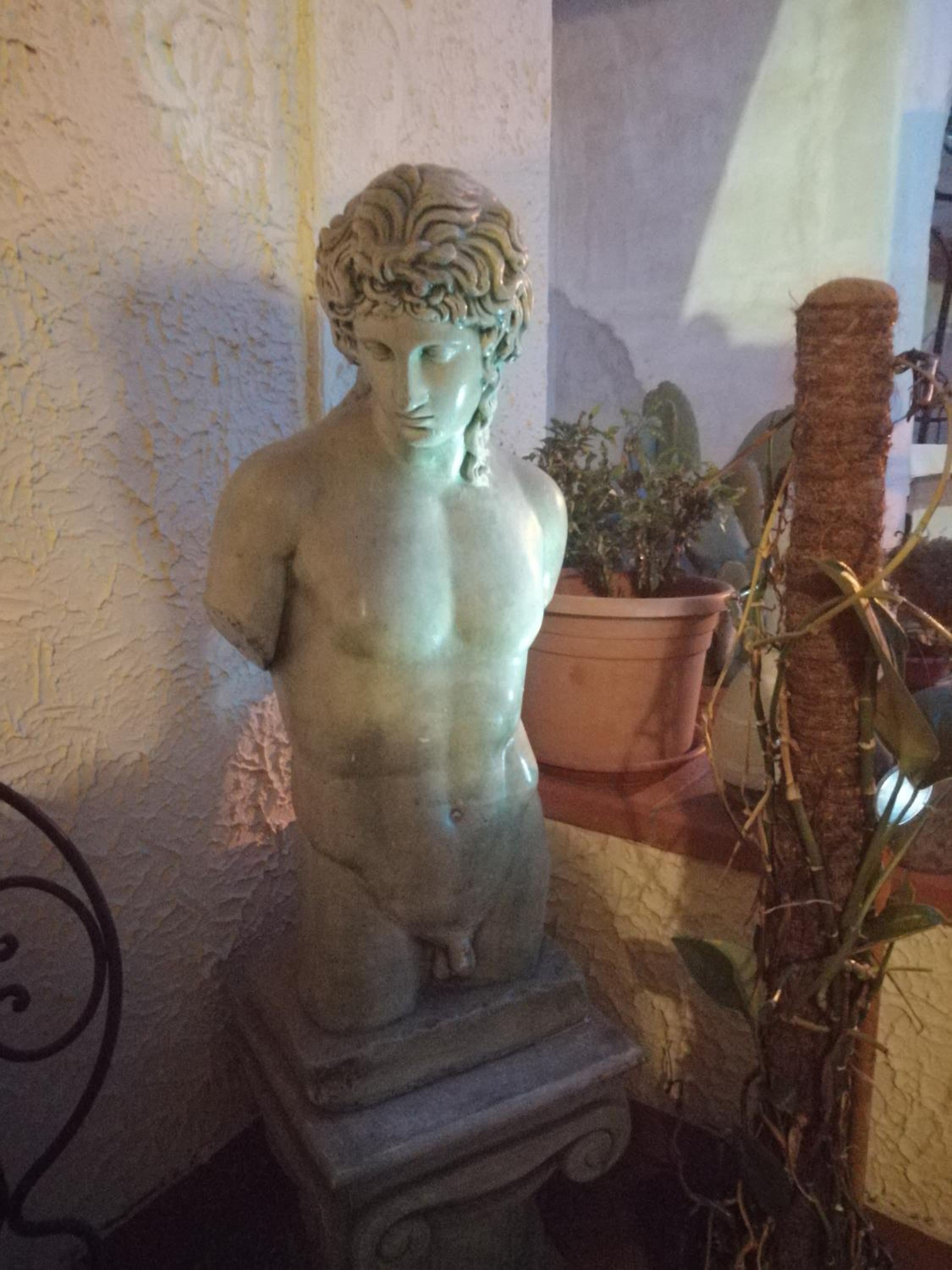 B&B Moscani