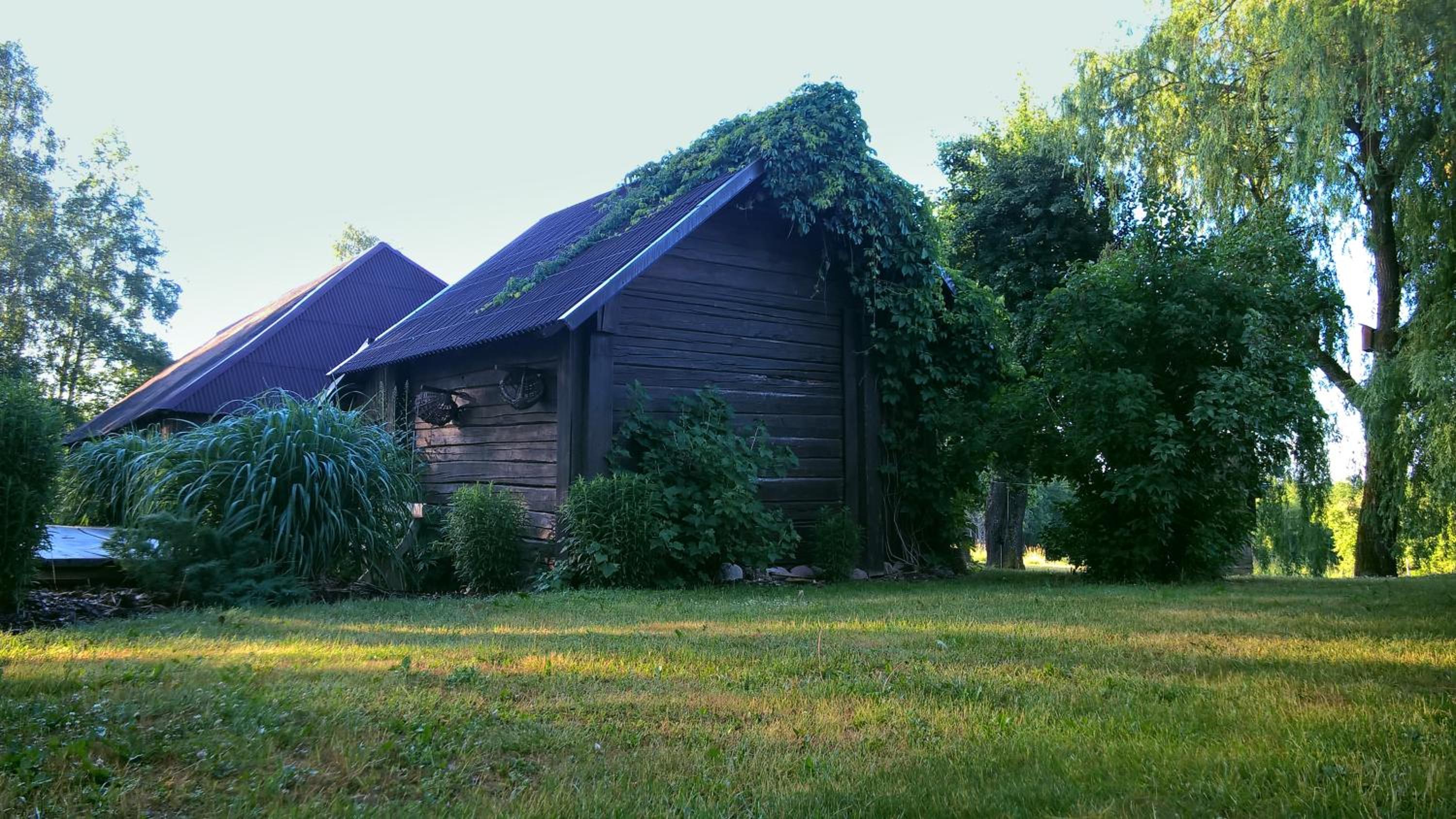 Photo 24