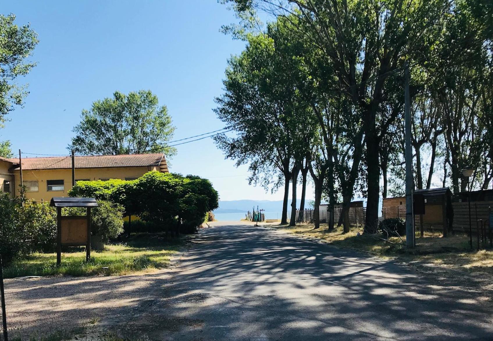 I SEE LAKE, photo 37