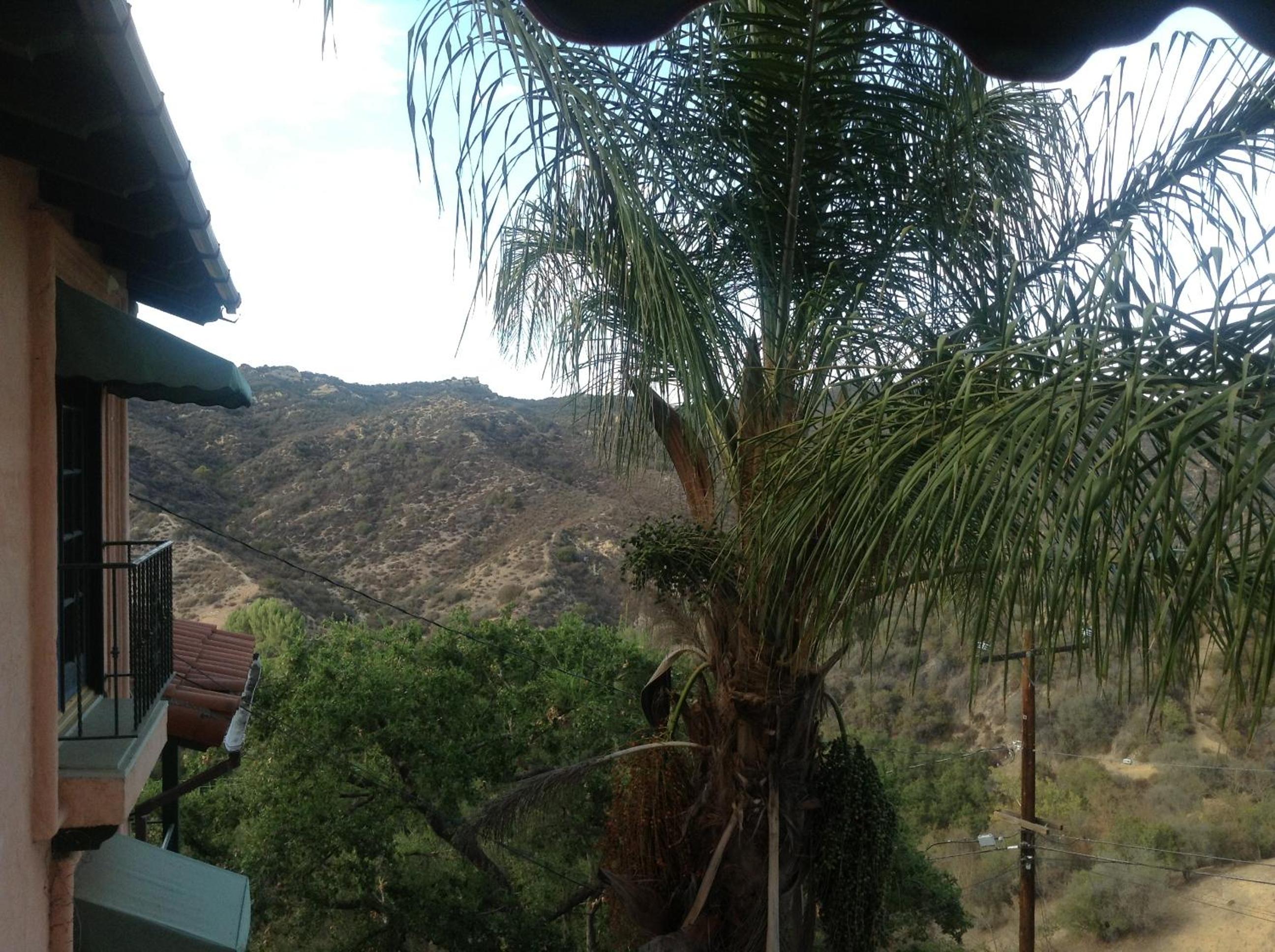 Topanga Canyon Inn Bed and Breakfast - Property Image 29