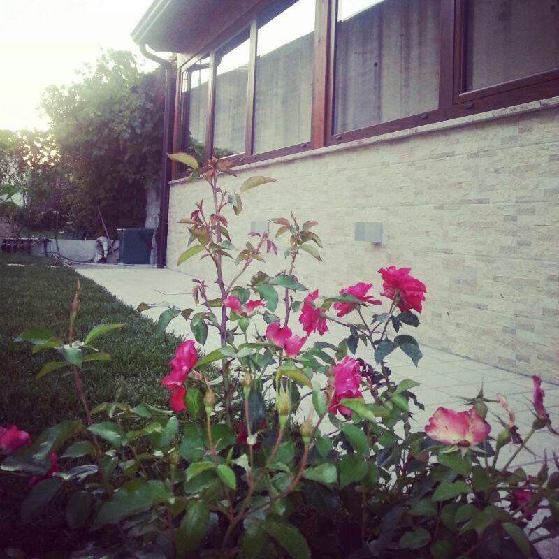 Photo 36