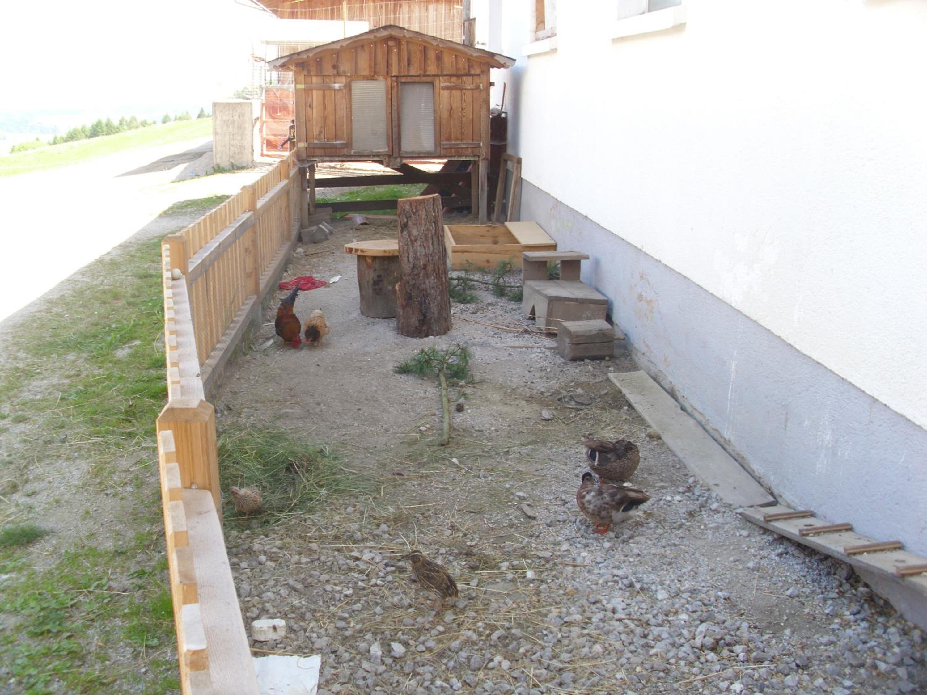 Panoramahof Gupf