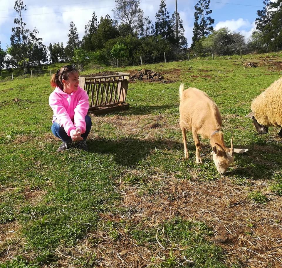 Quinta de São José