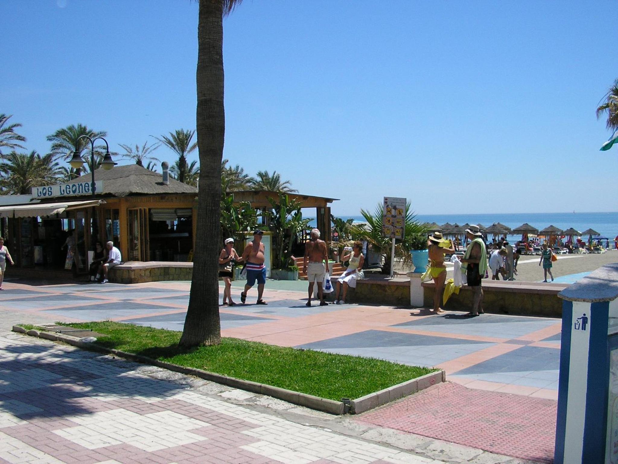 Photo 7