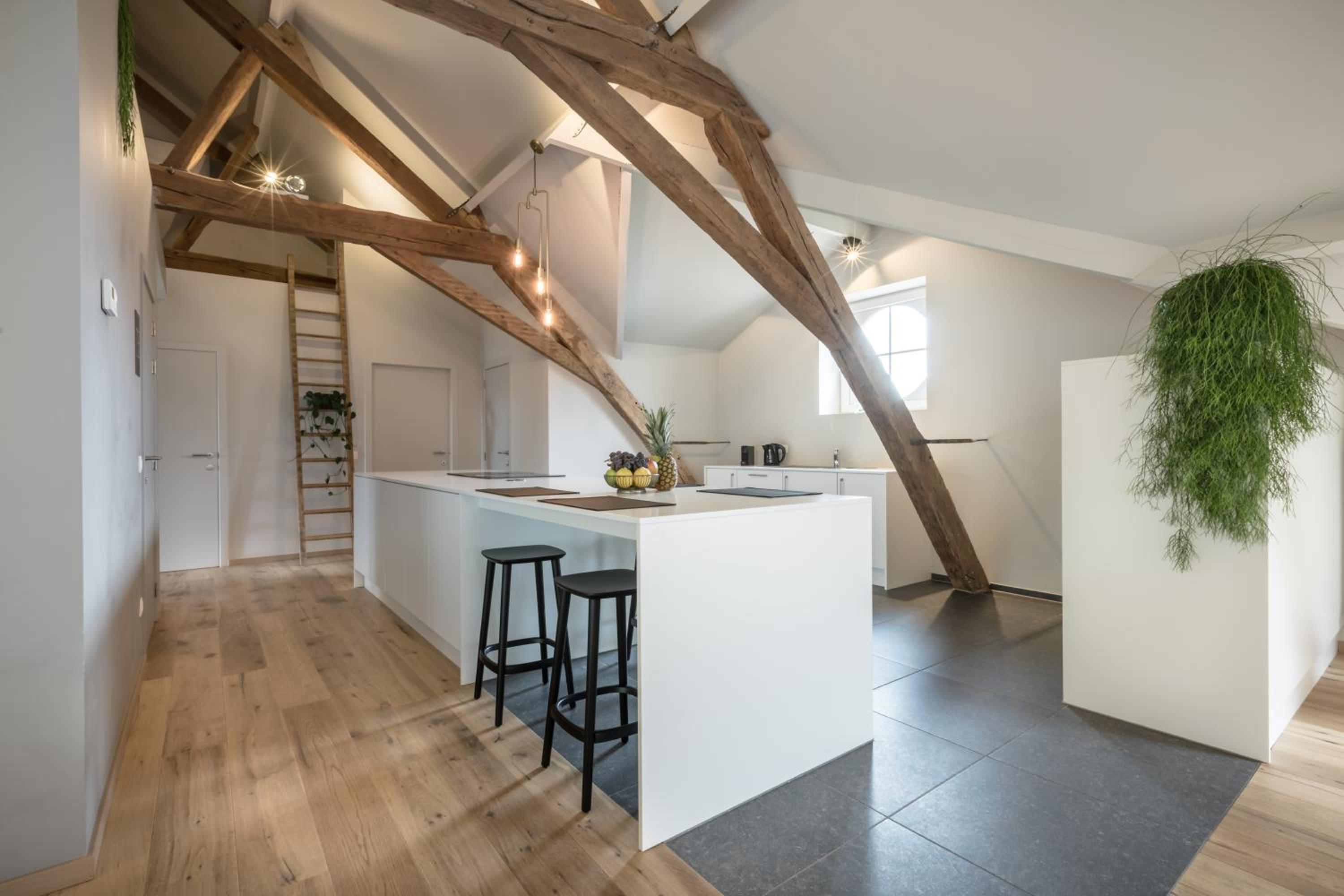 Logement Den Beer, photo 10
