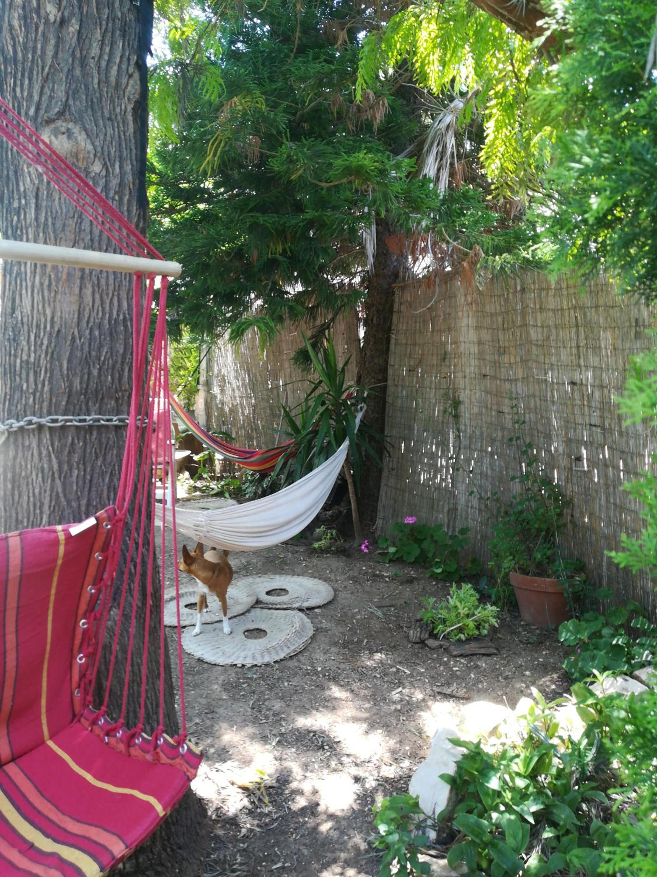 Secret Garden photo 2