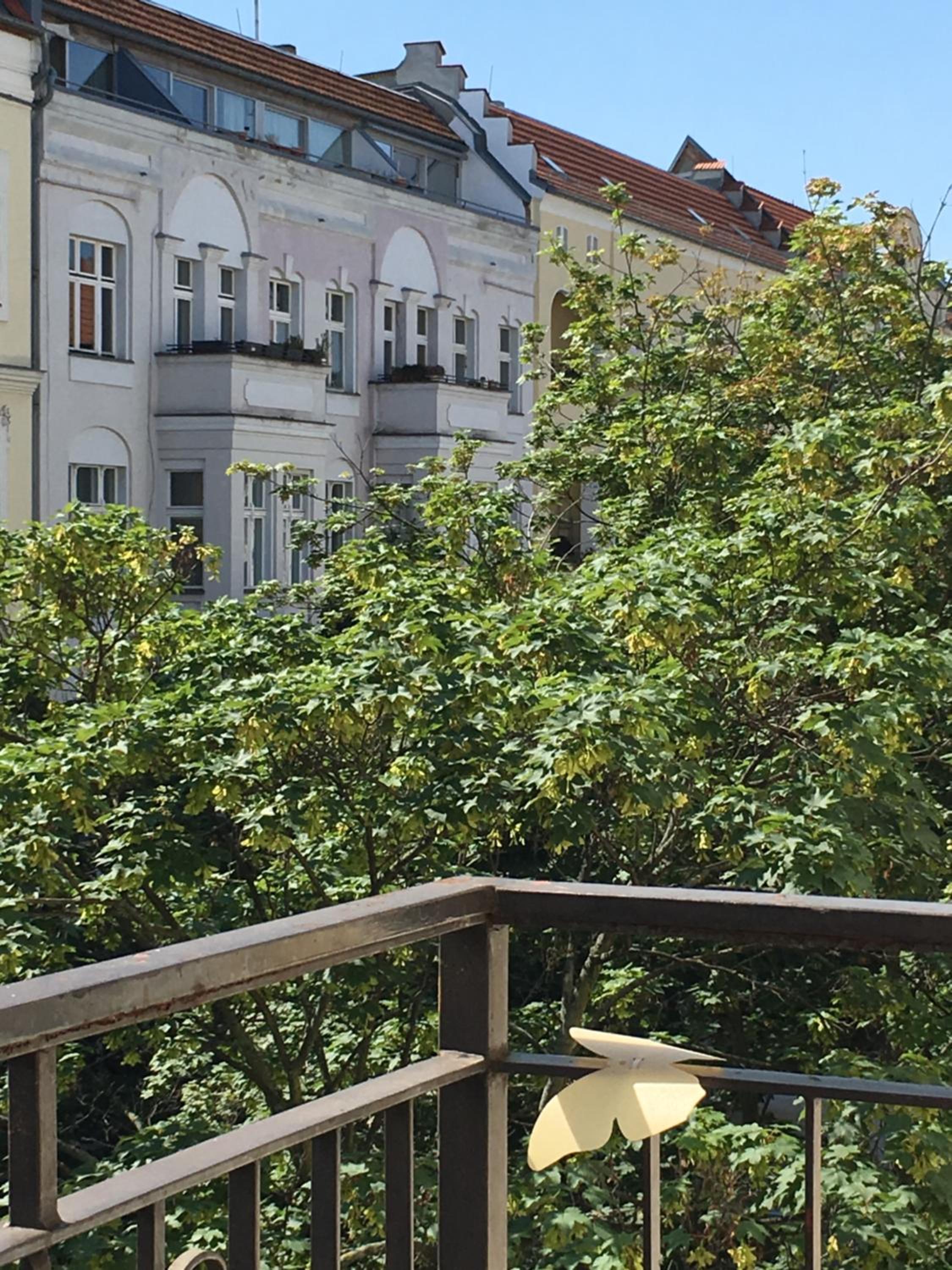 Apartment Winsstr. 68