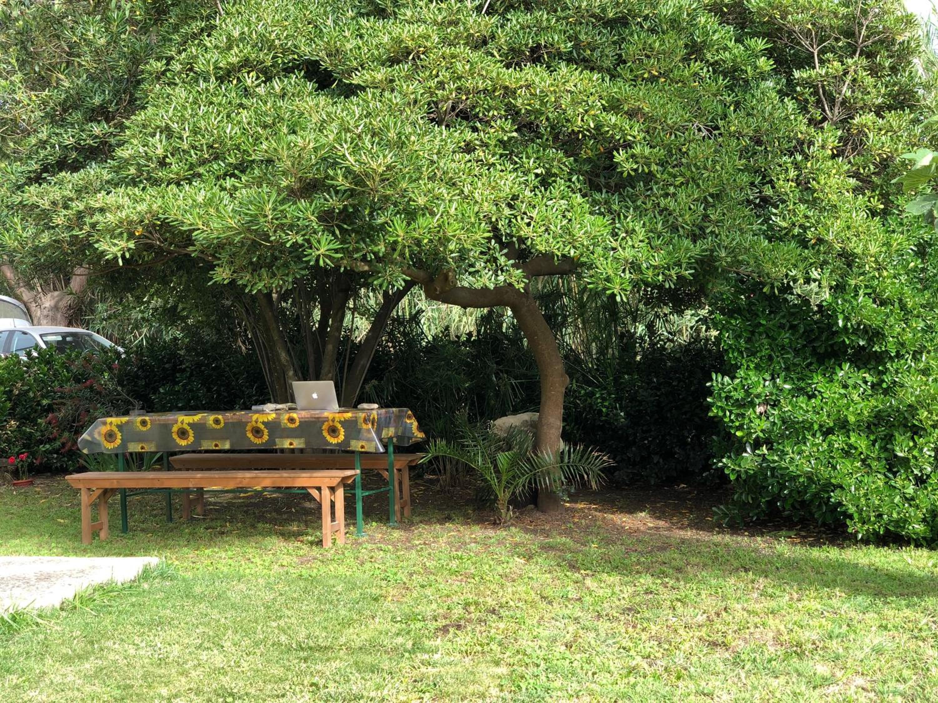 Photo 14