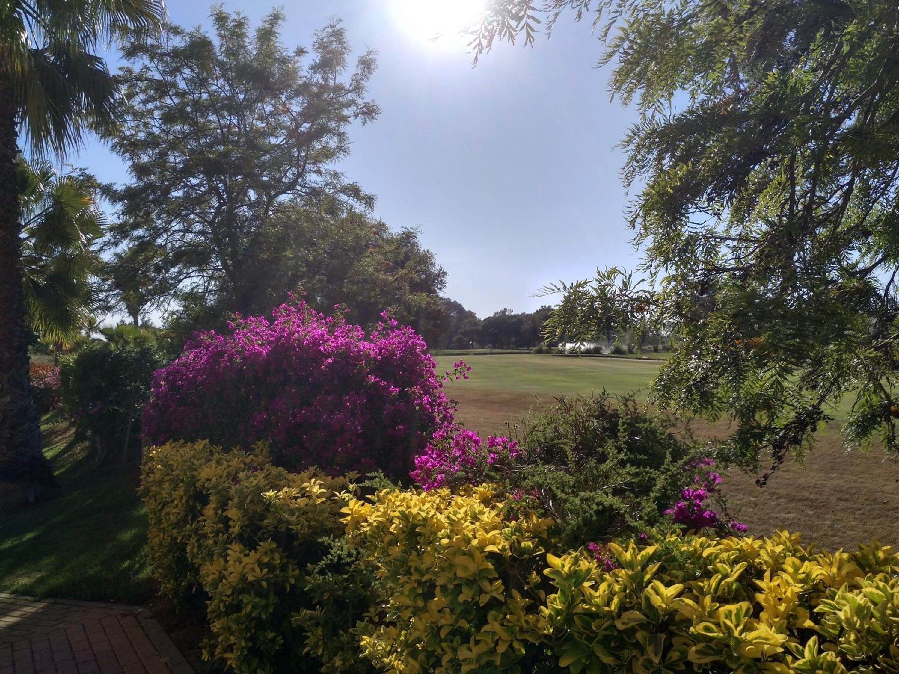 Isla Canela Golf, photo 63