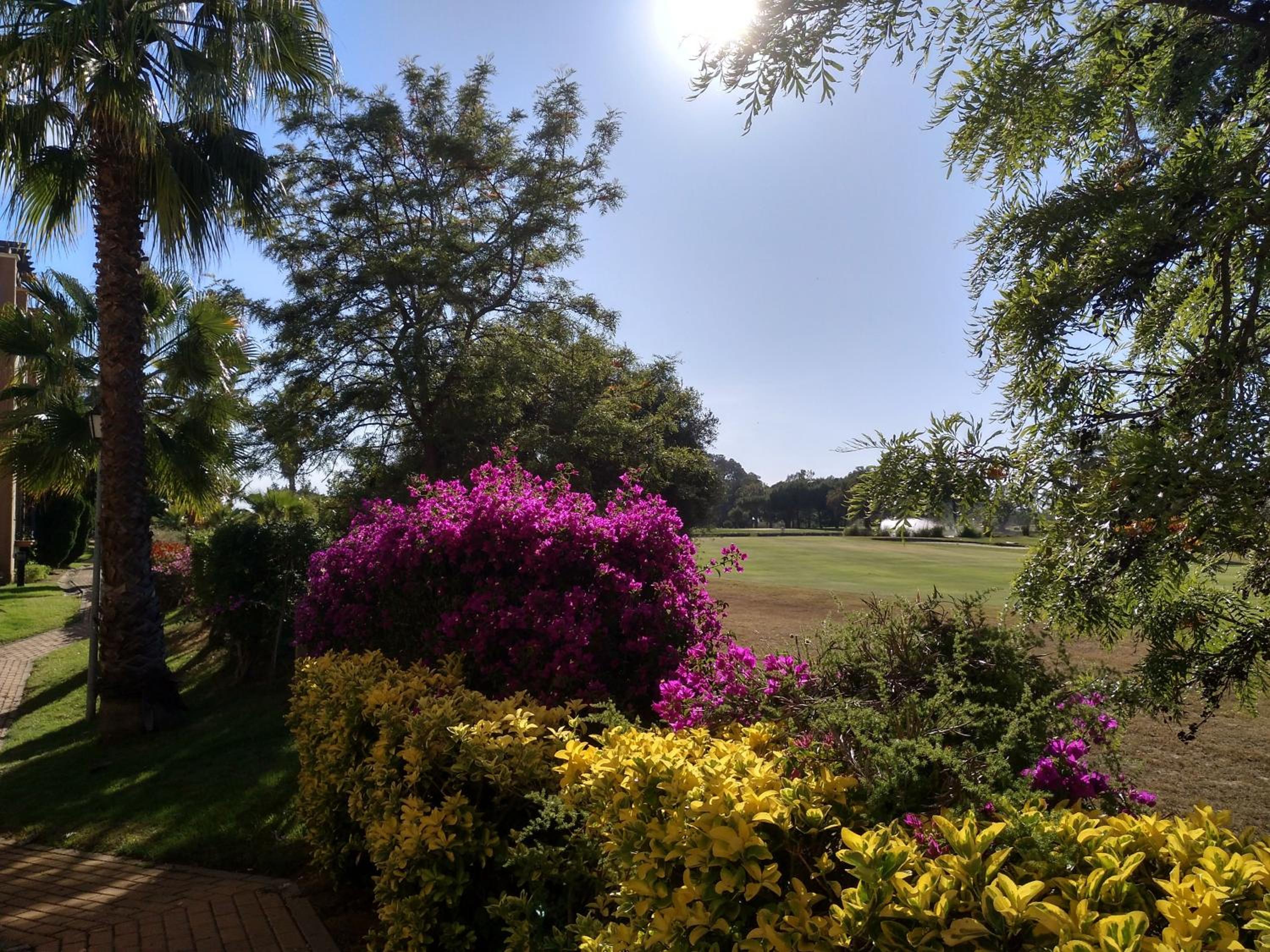 Isla Canela Golf, photo 10