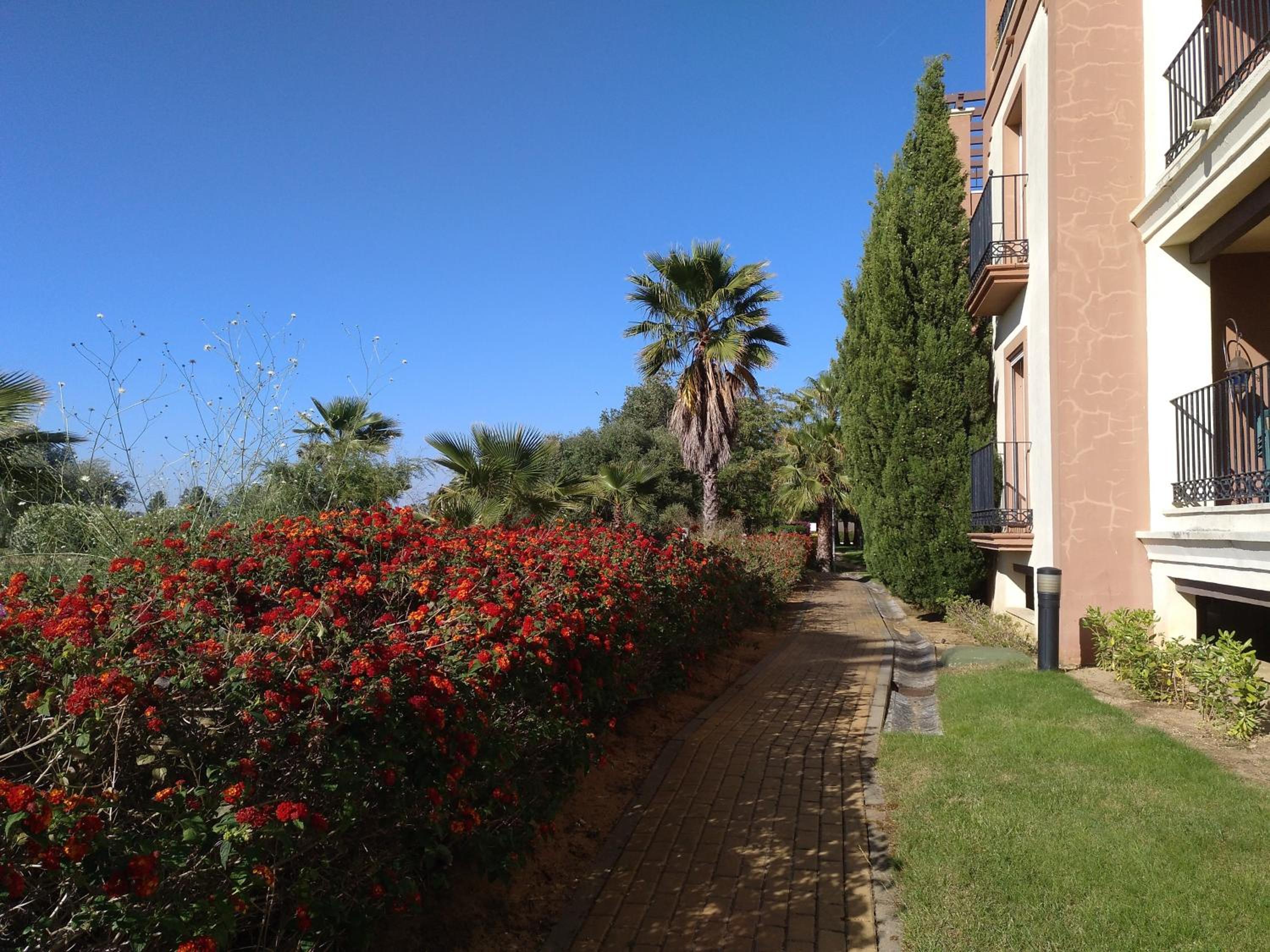 Isla Canela Golf, photo 47