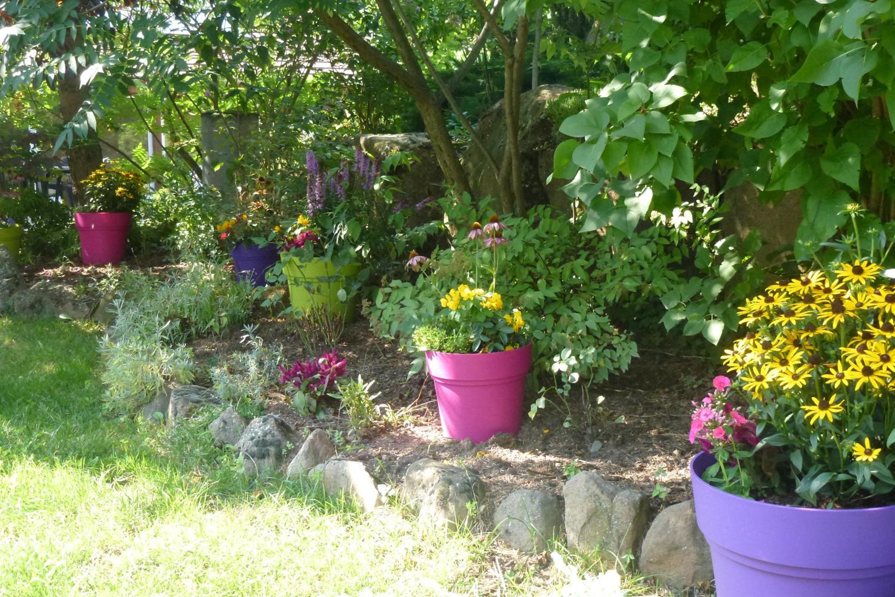 garden