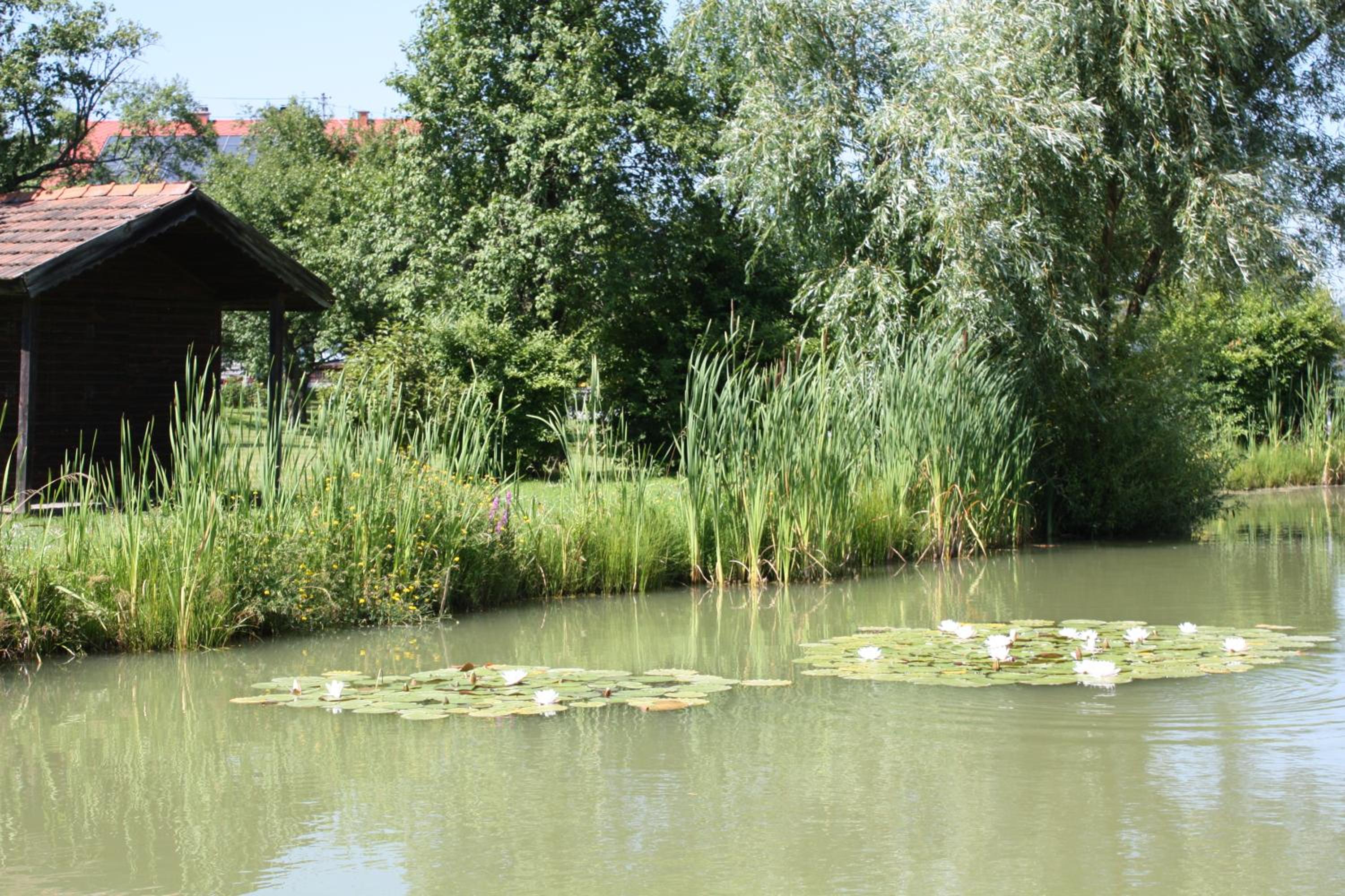 Photo 26