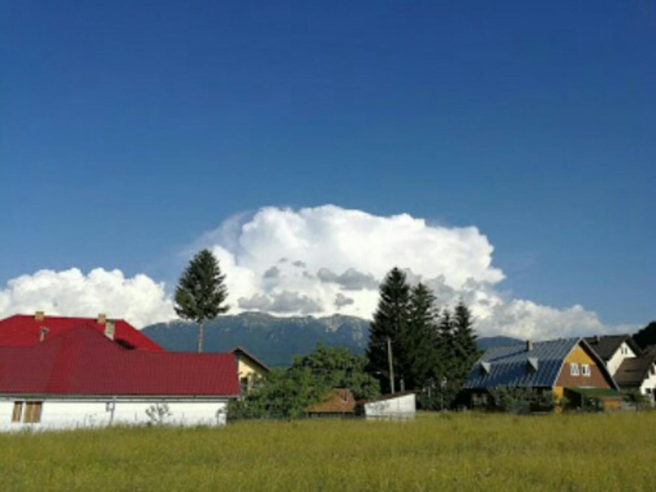 Casa cu Păuni