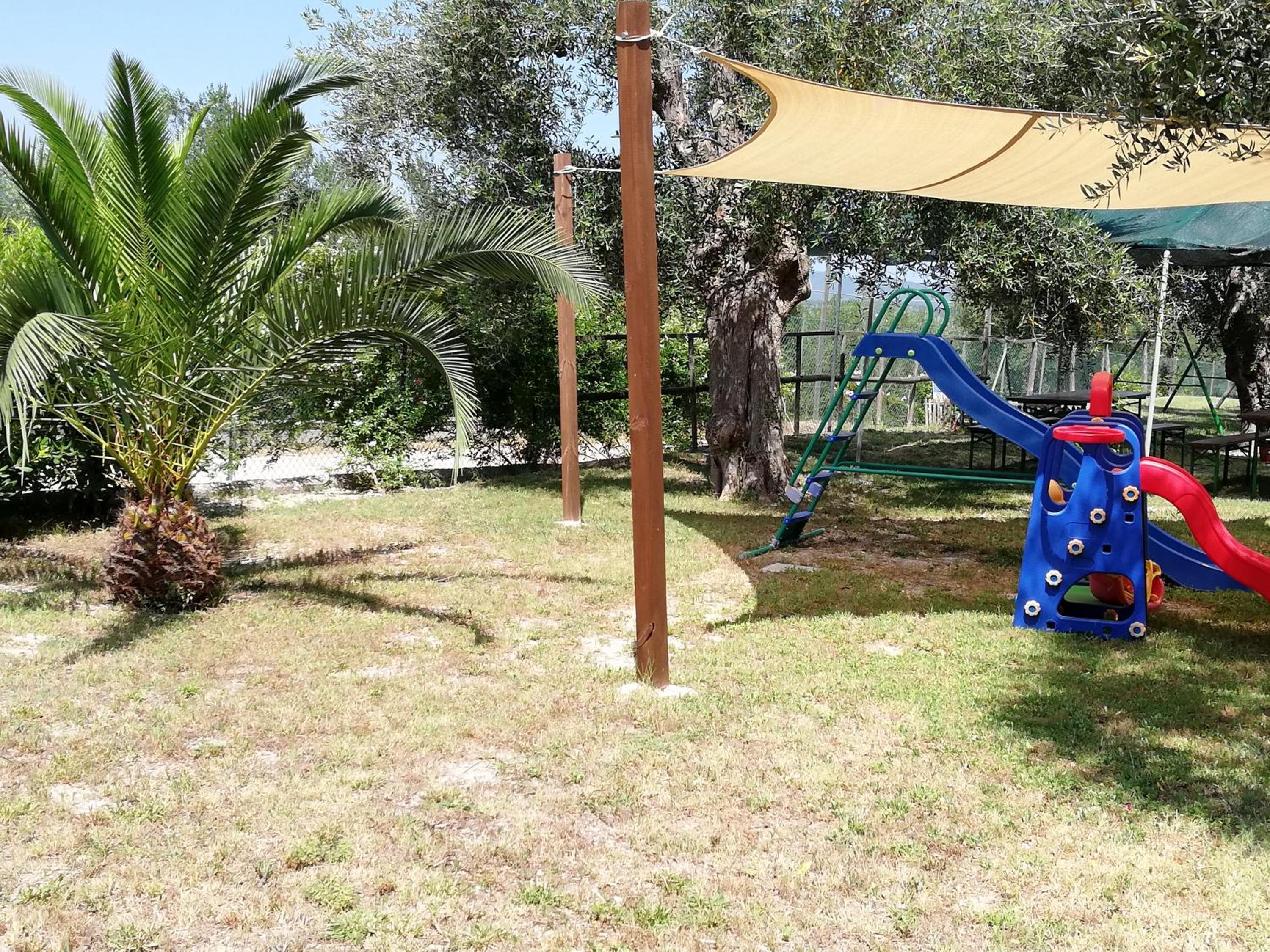 Photo 43