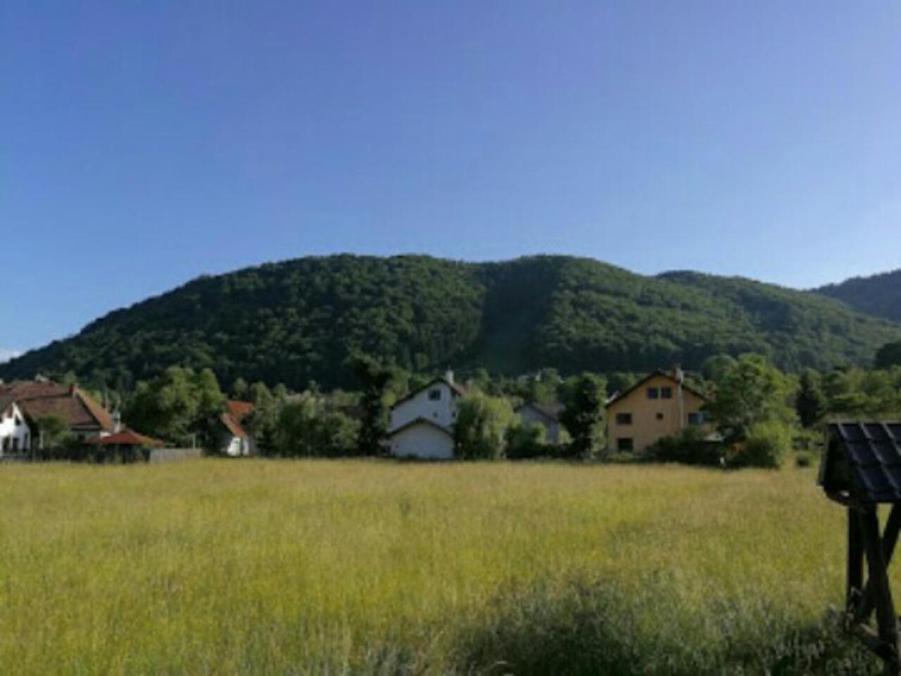 Casa cu Păuni