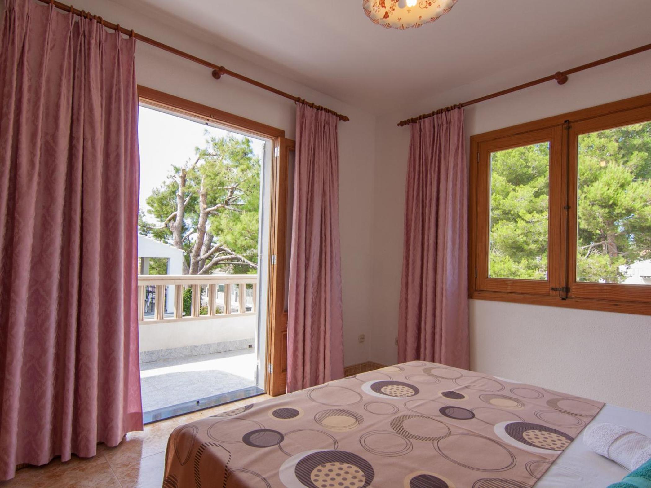 Zamia view 5