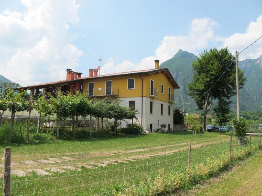 La Piccola Fattoria view 3