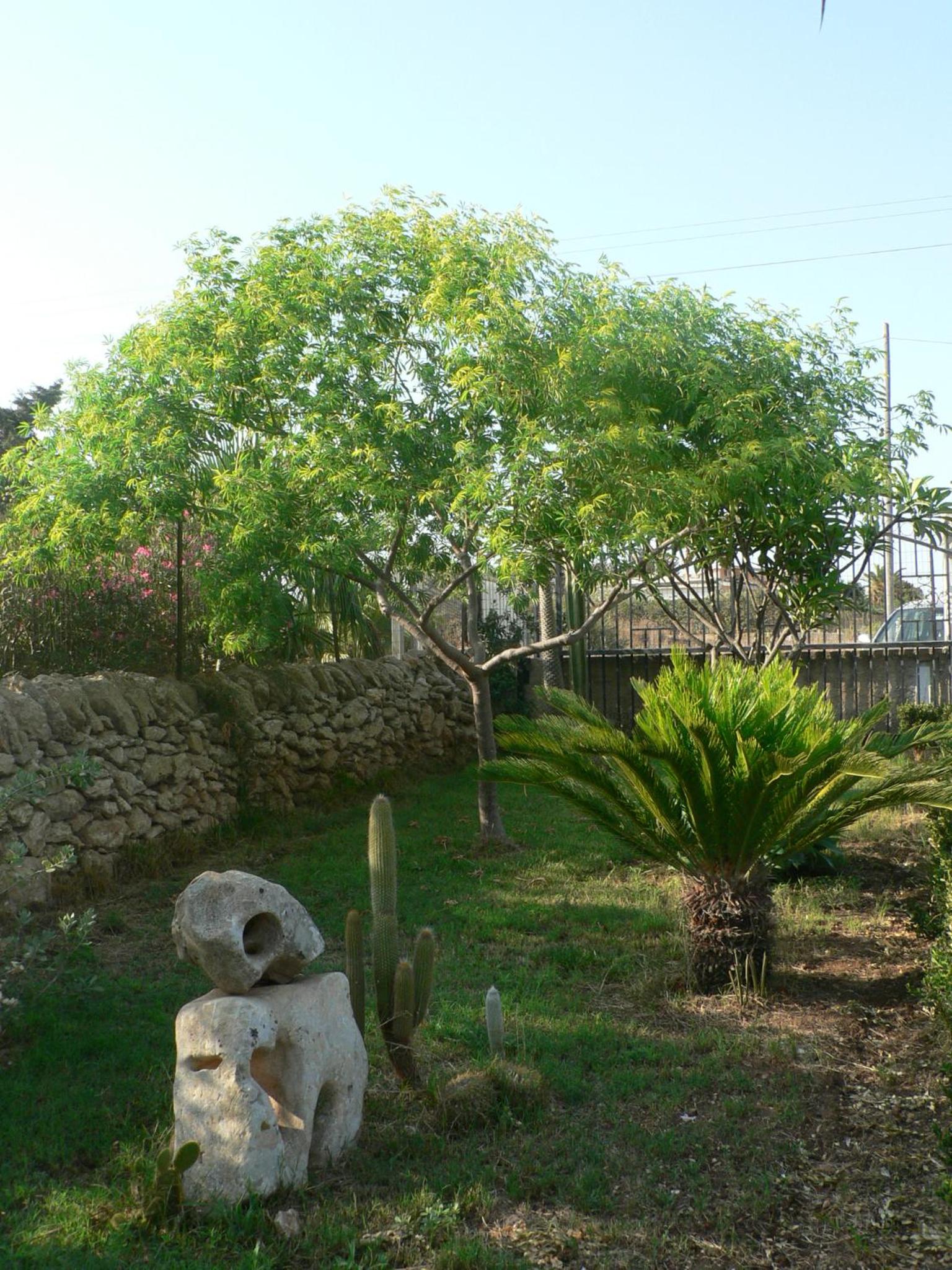 Photo 62