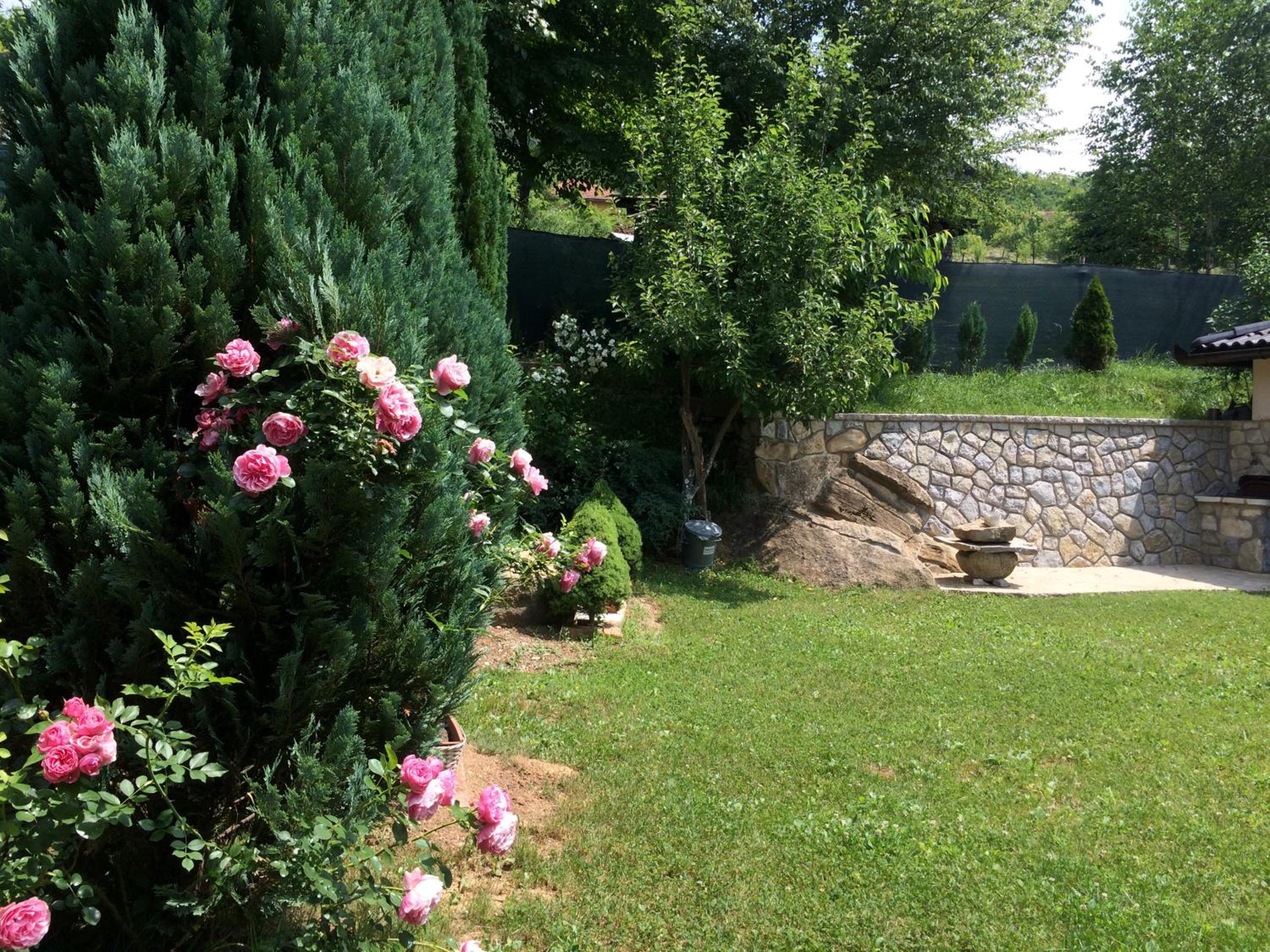 Photo 16