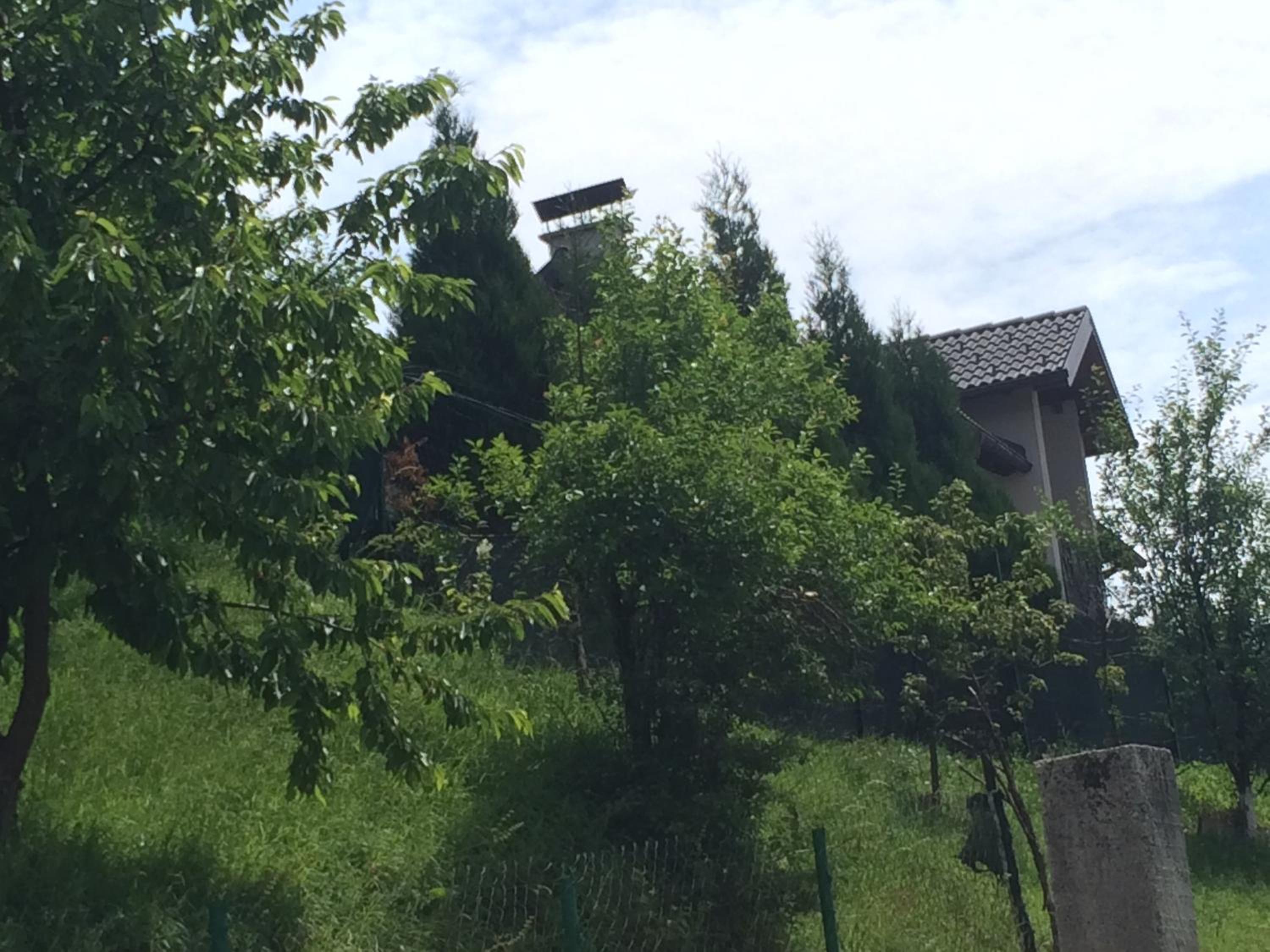 Photo 13