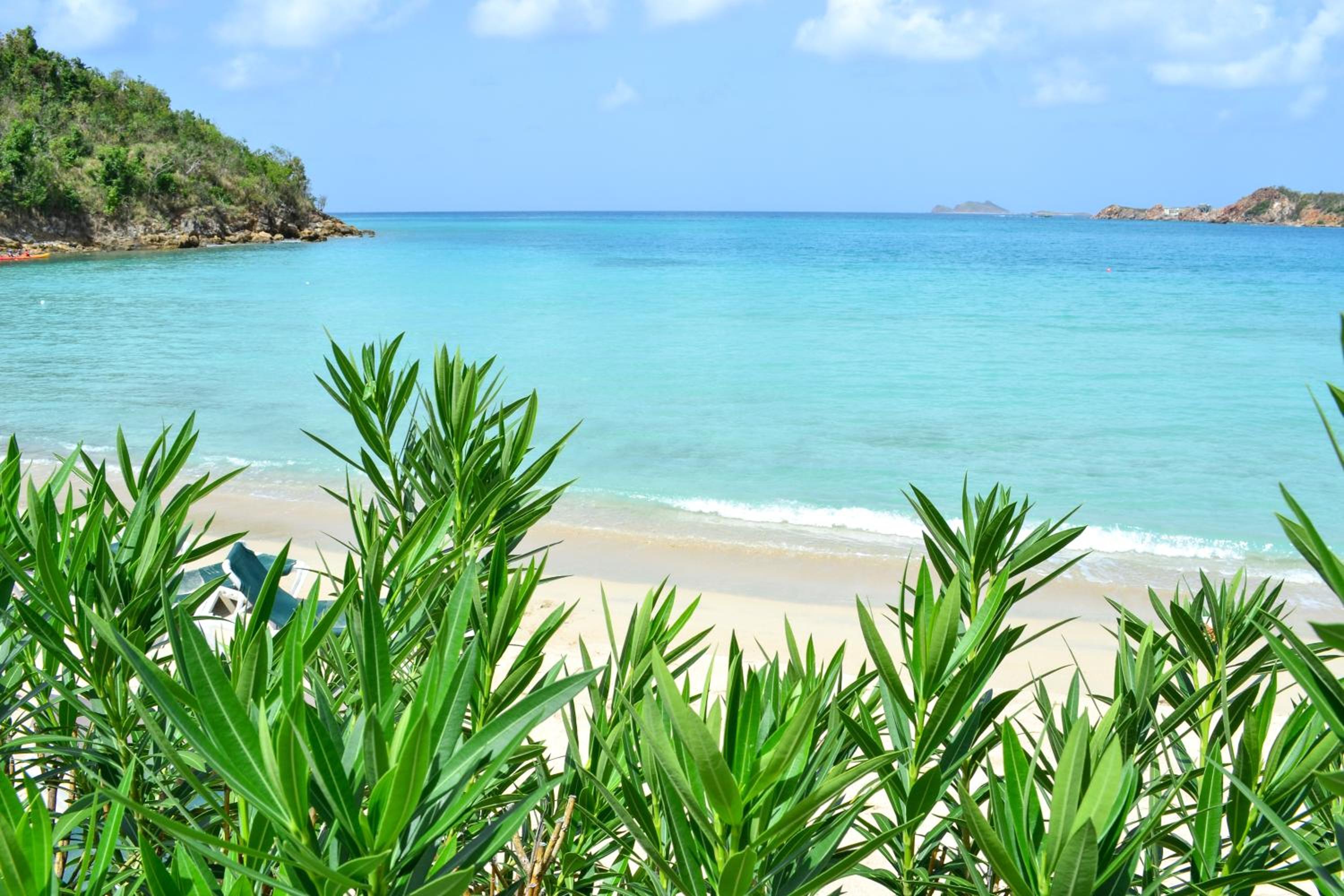 Emerald Beach Resort - Photo 15