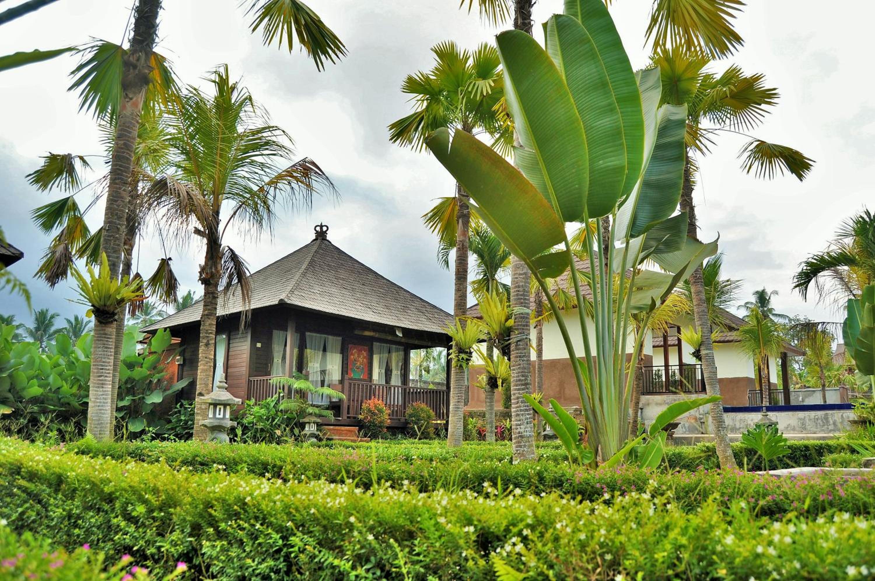 Dong Loka Guesthouse Bali