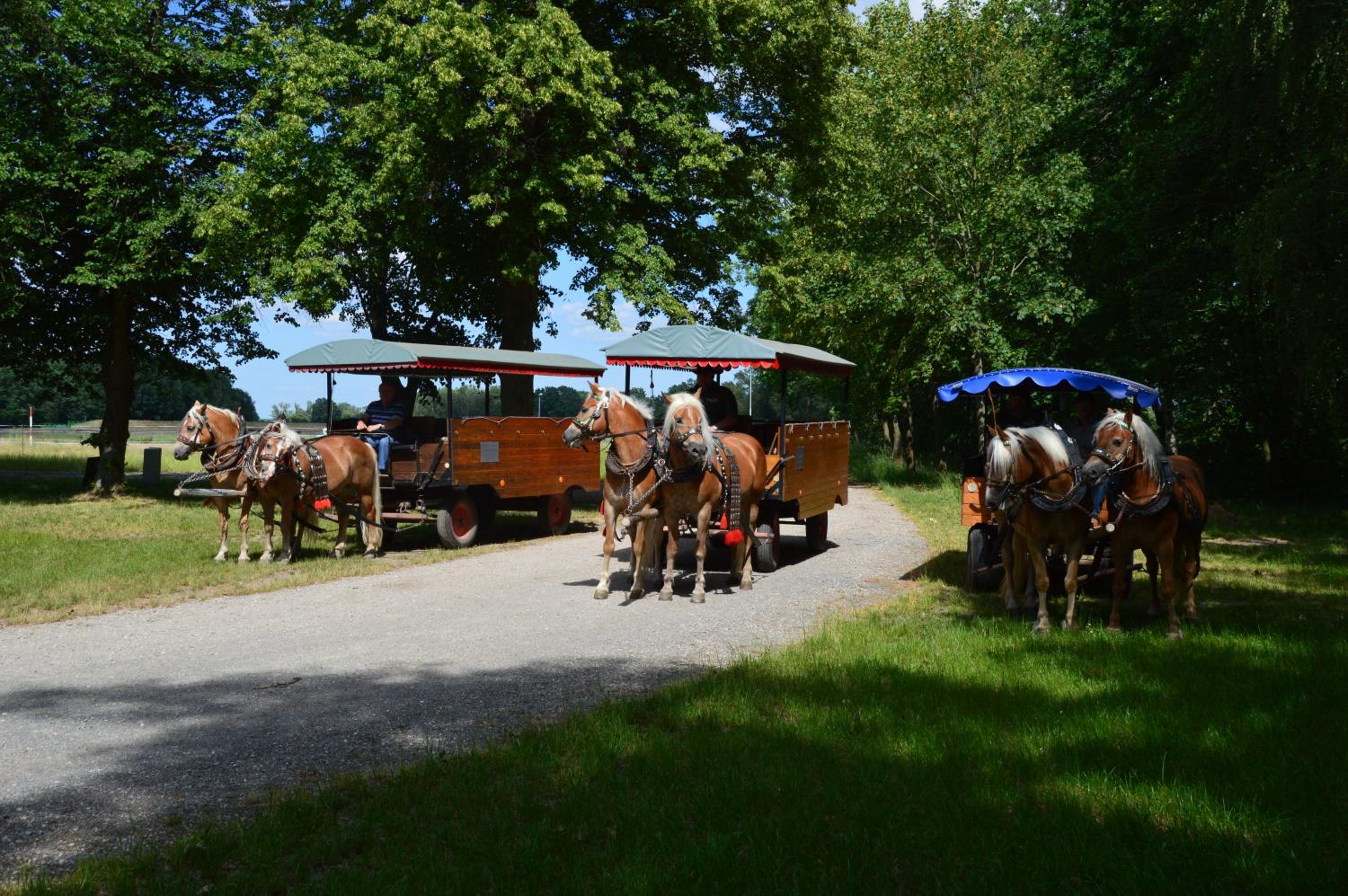 Ferienhaus Am Park