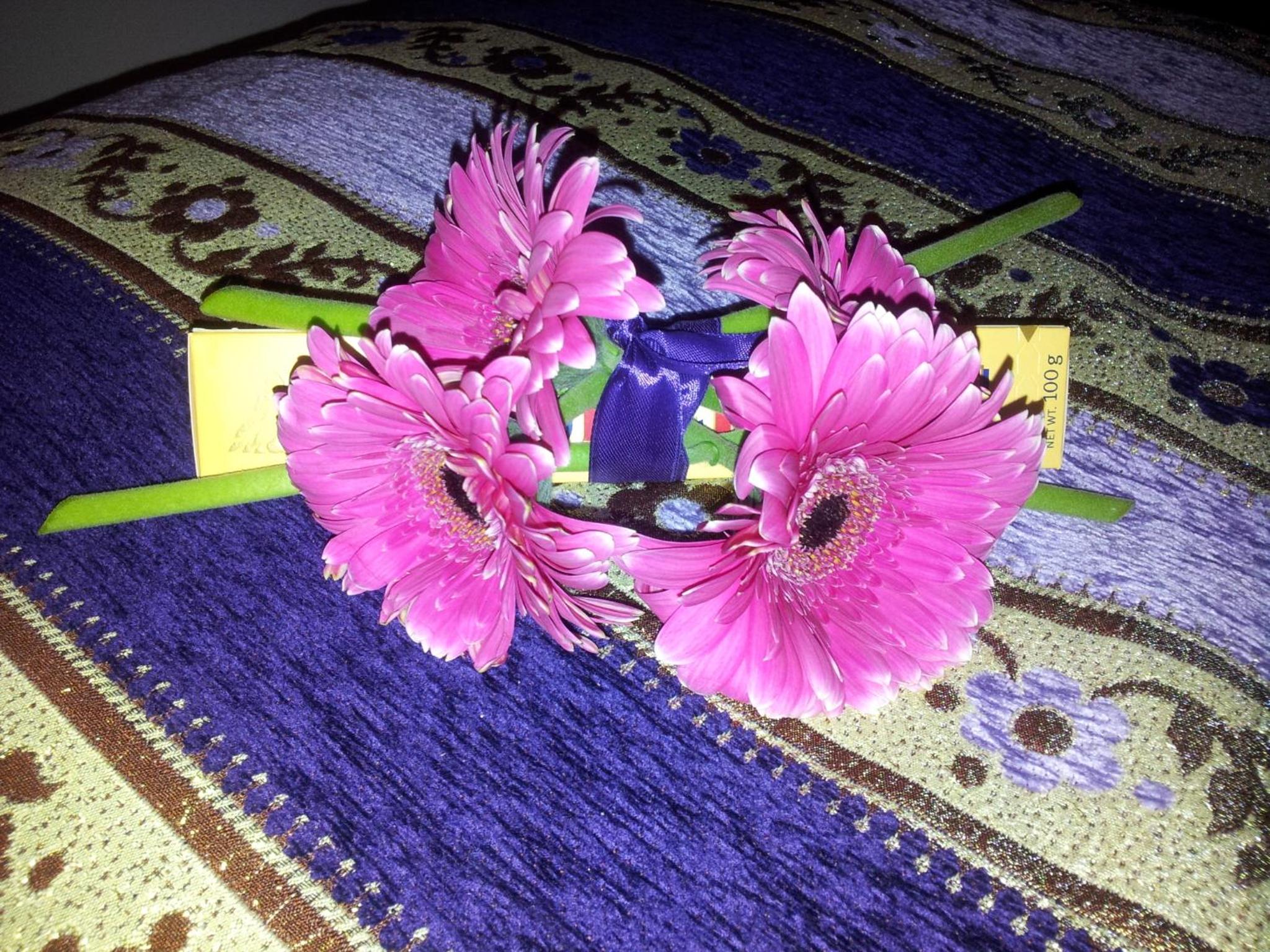 Photo 32