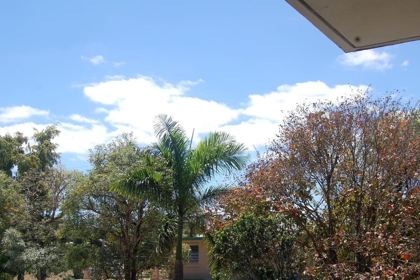 Photo 45