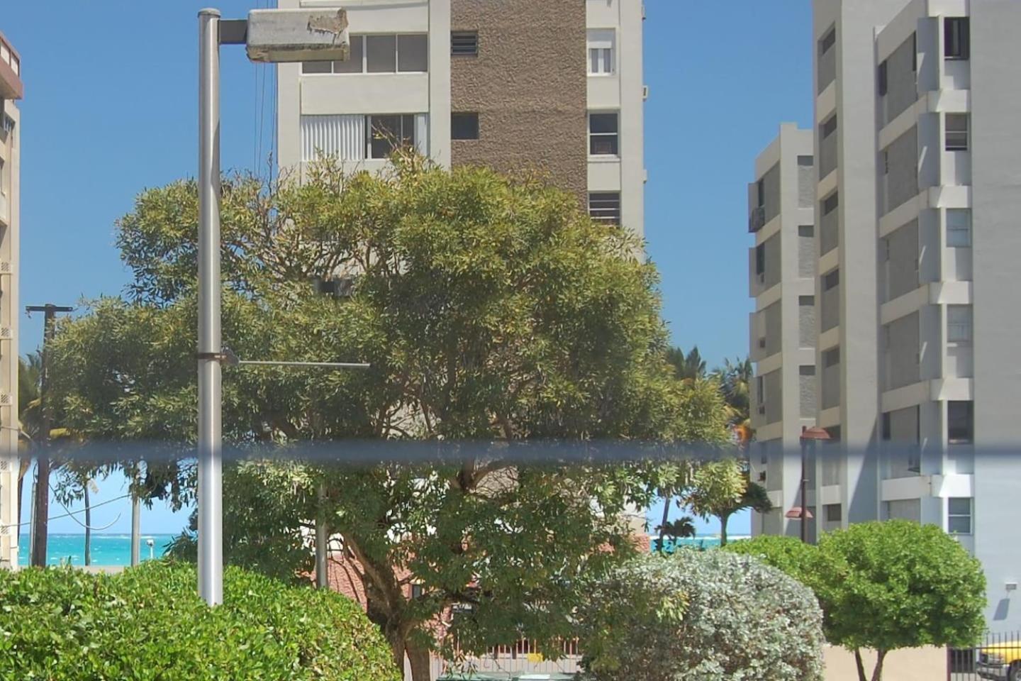 Photo 47