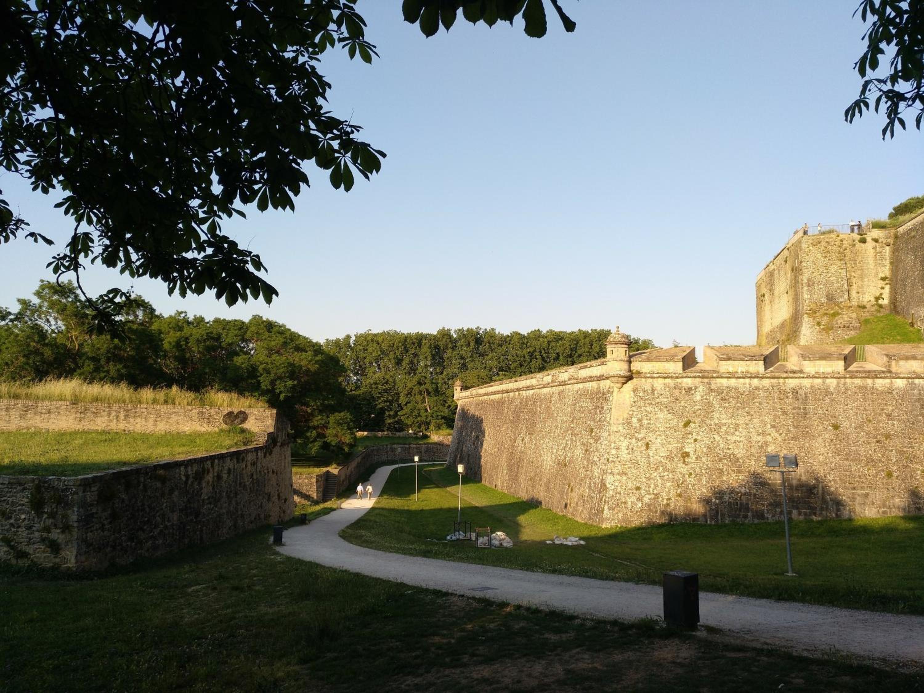 Photo 6