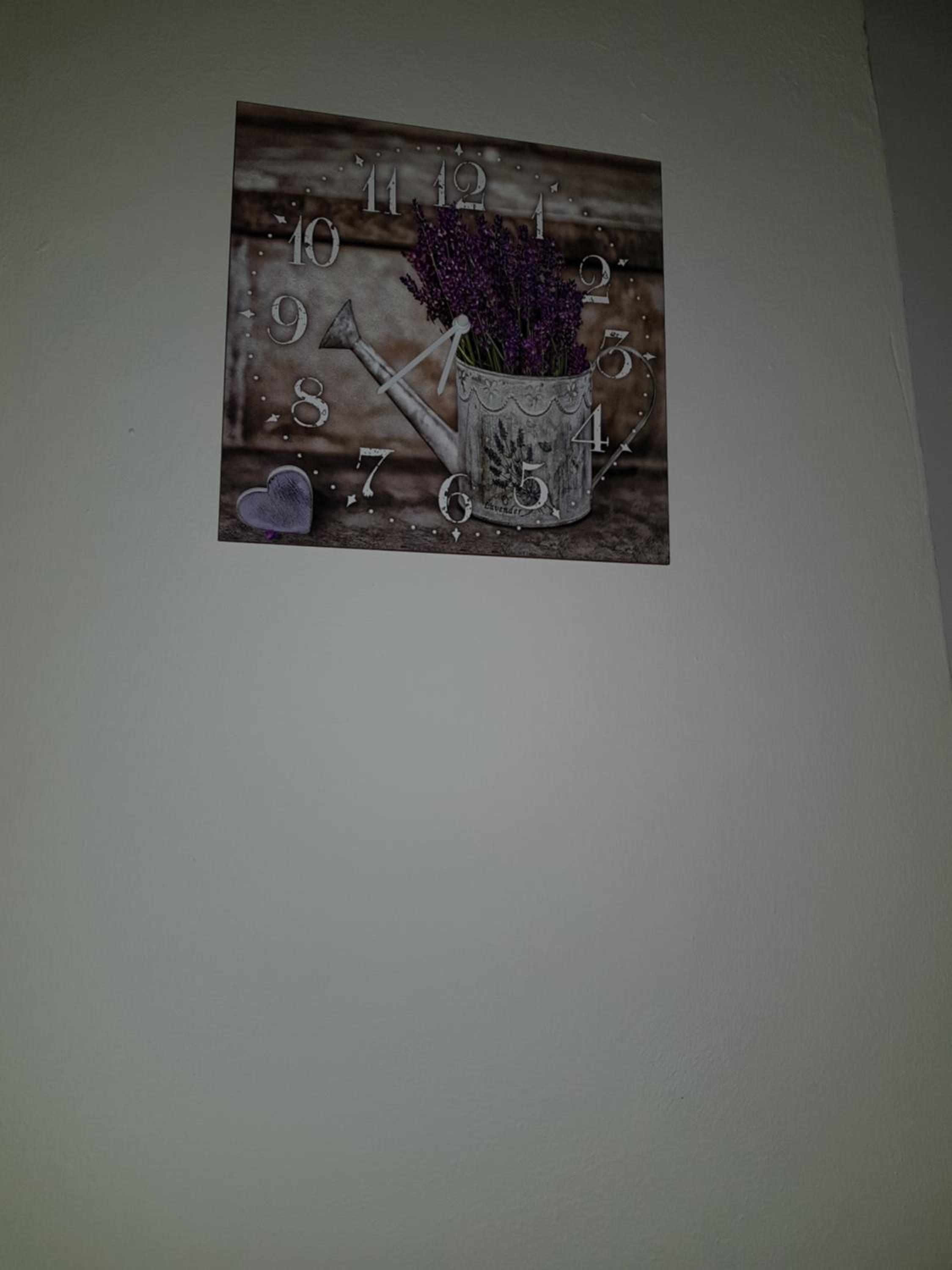 Photo 51