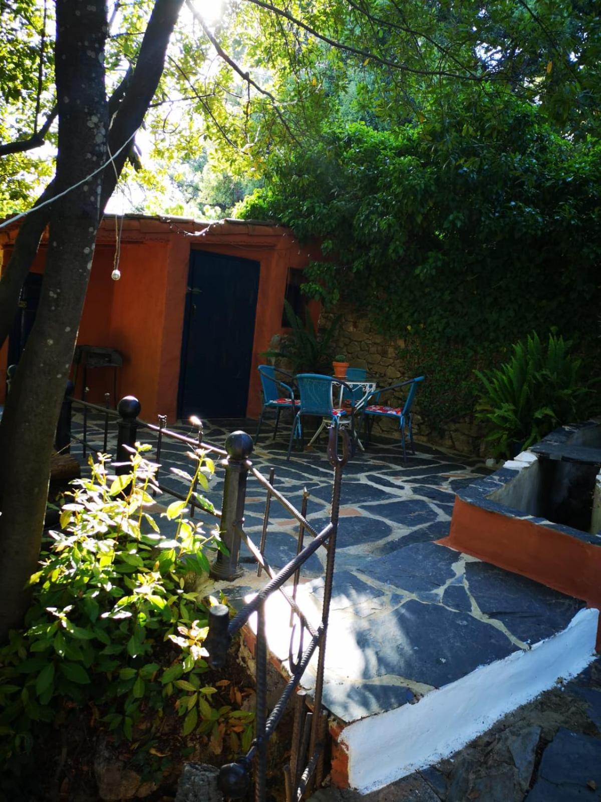 Photo 22