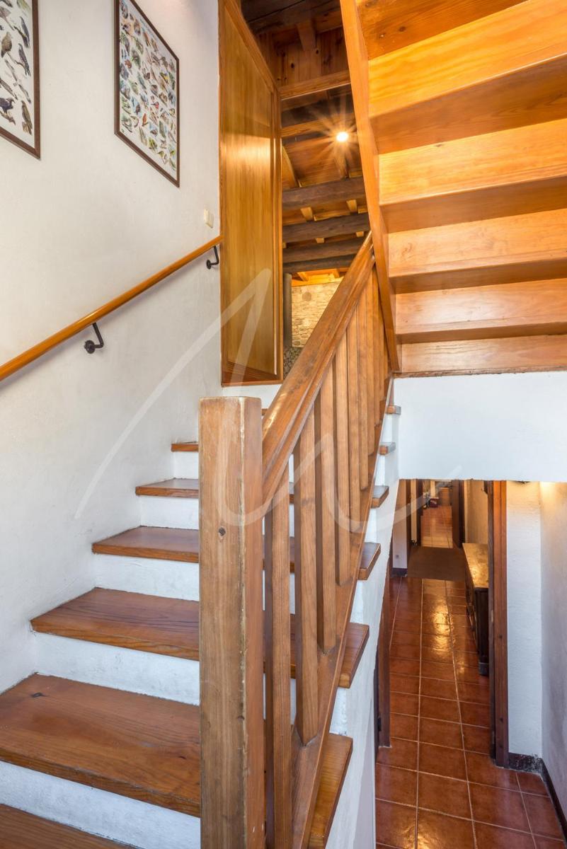 Casa Parrot by SeaMount Rentals view 5