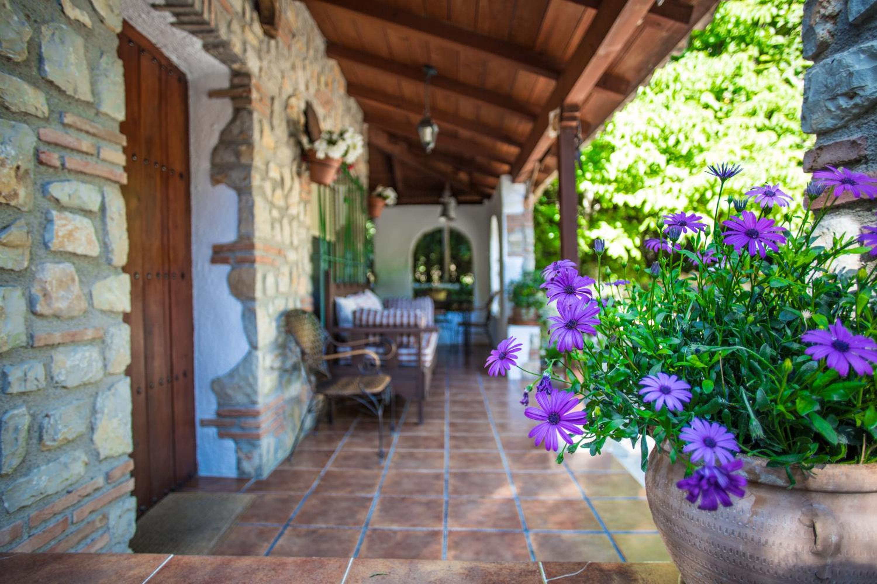 Casa María I photo 4