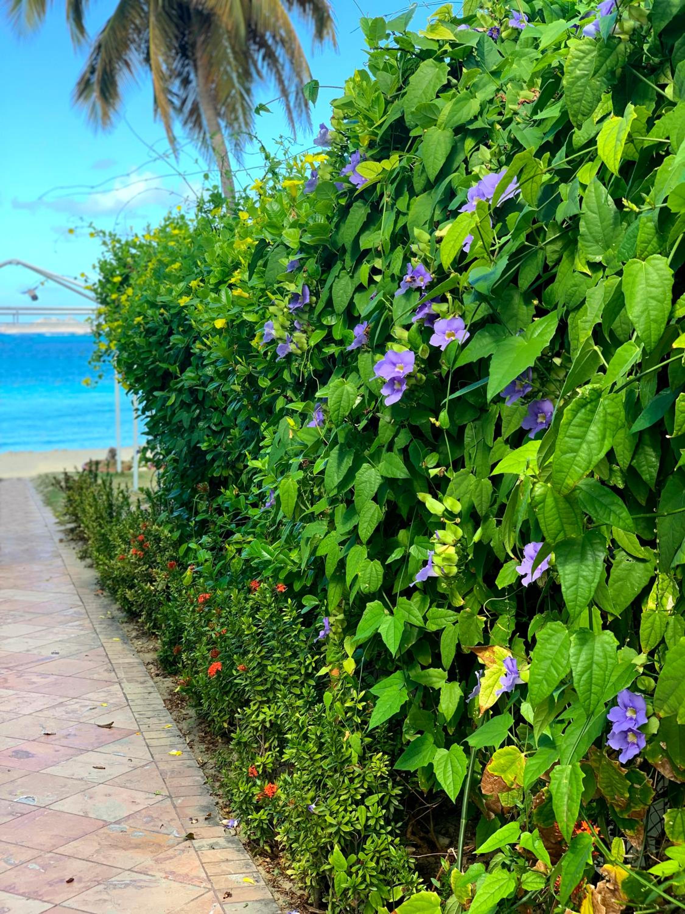 Emerald Beach Resort - Photo 39