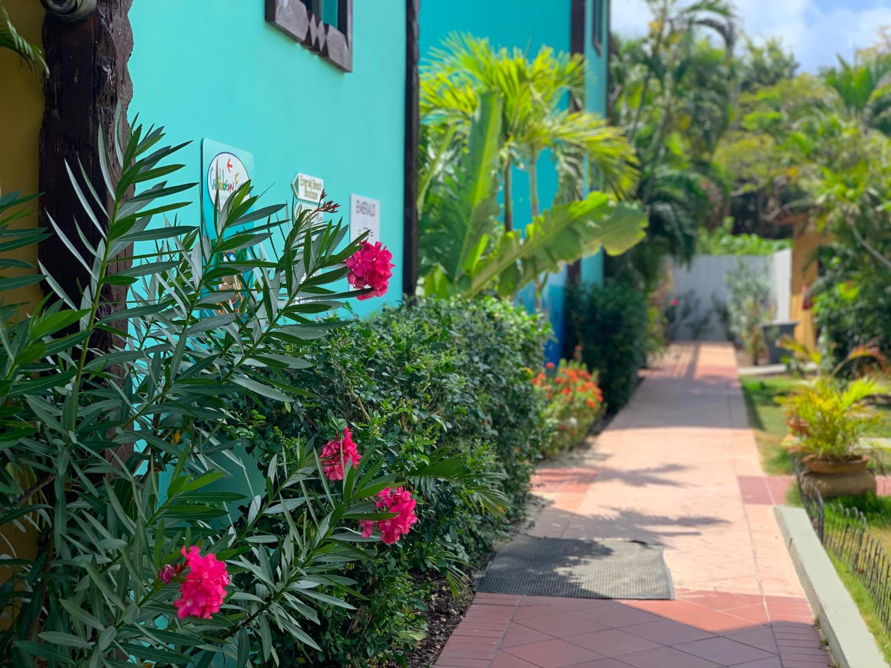 Emerald Beach Resort - Photo 41