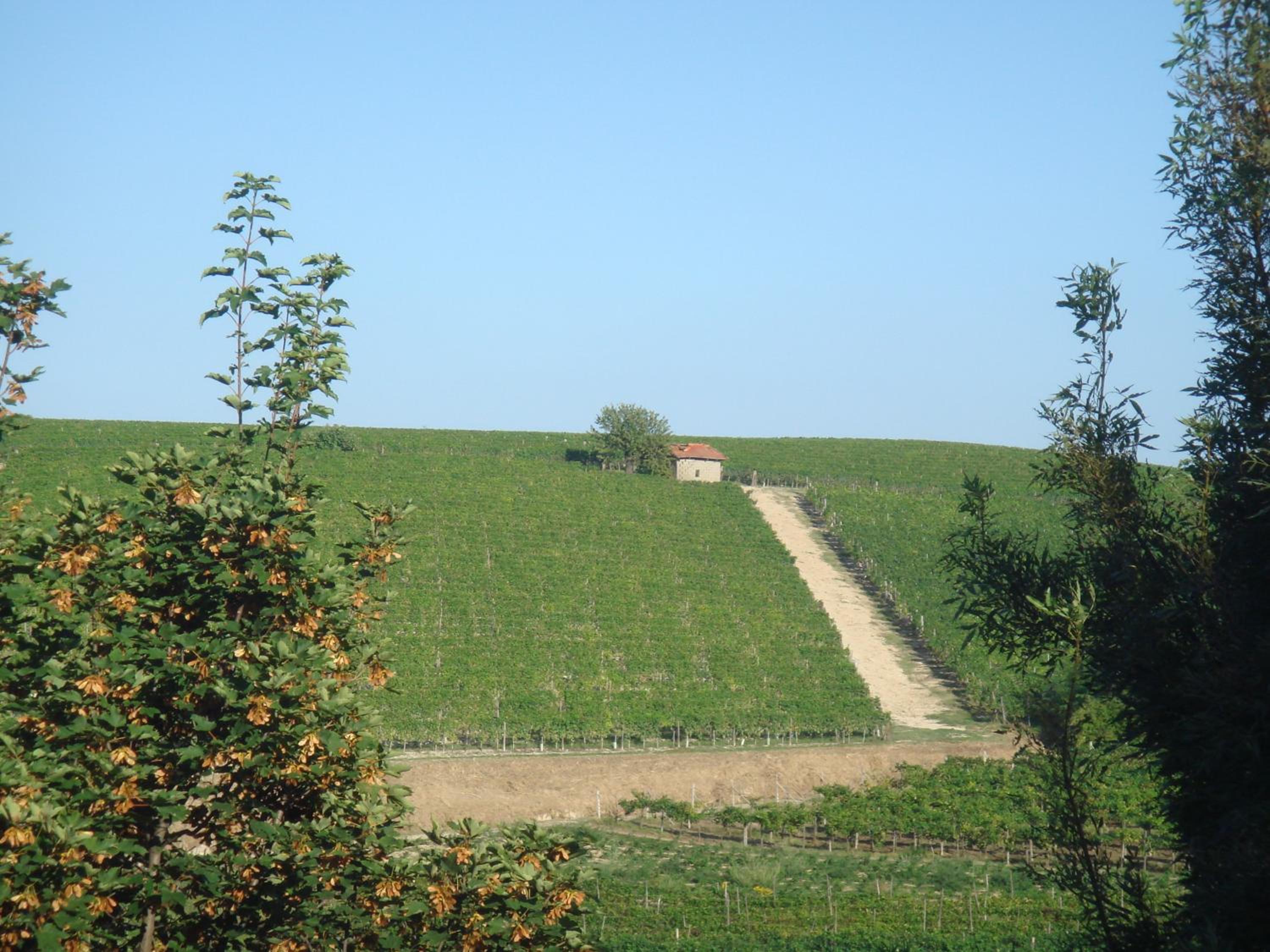 Photo 43