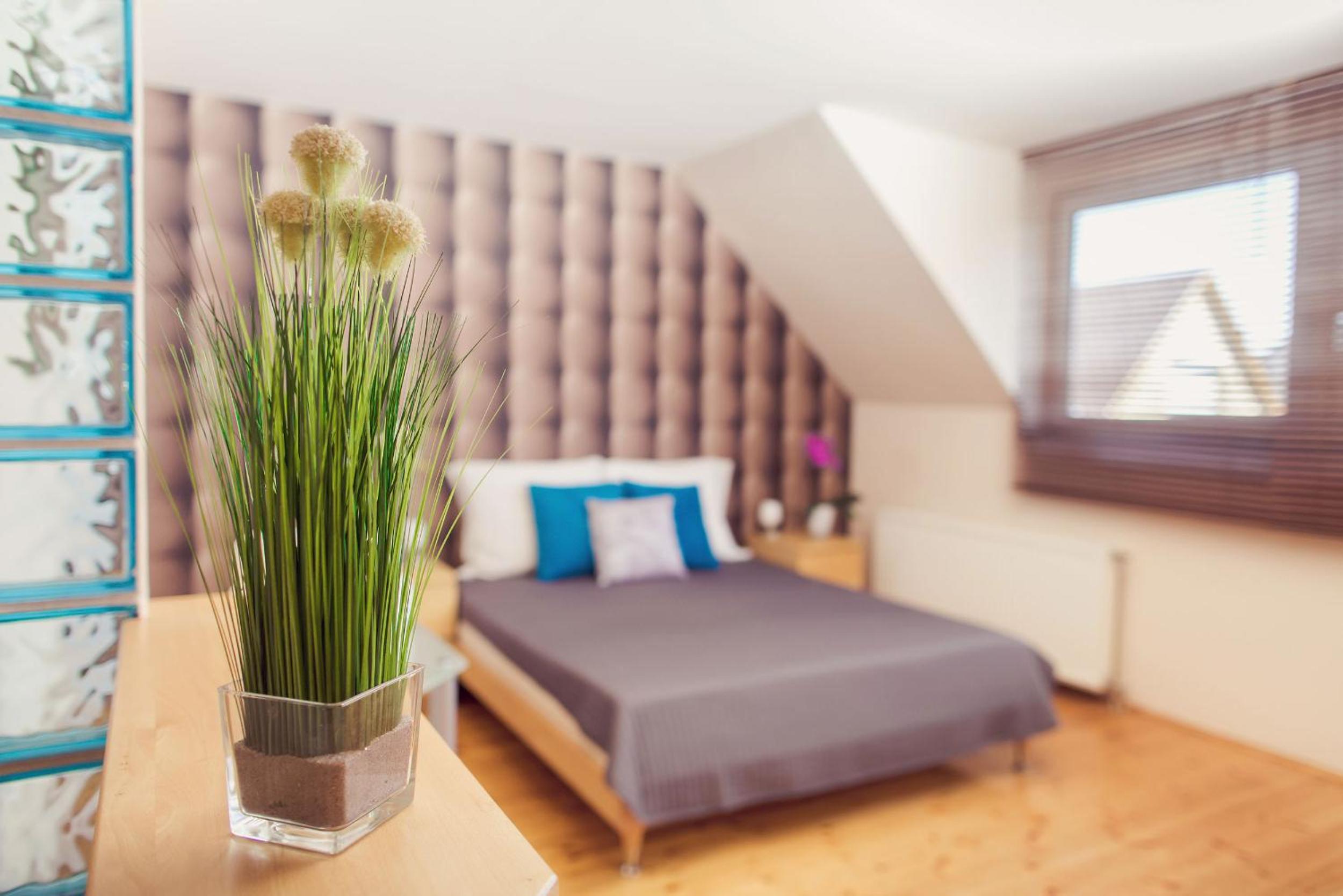 Apartman Szanyi view 5
