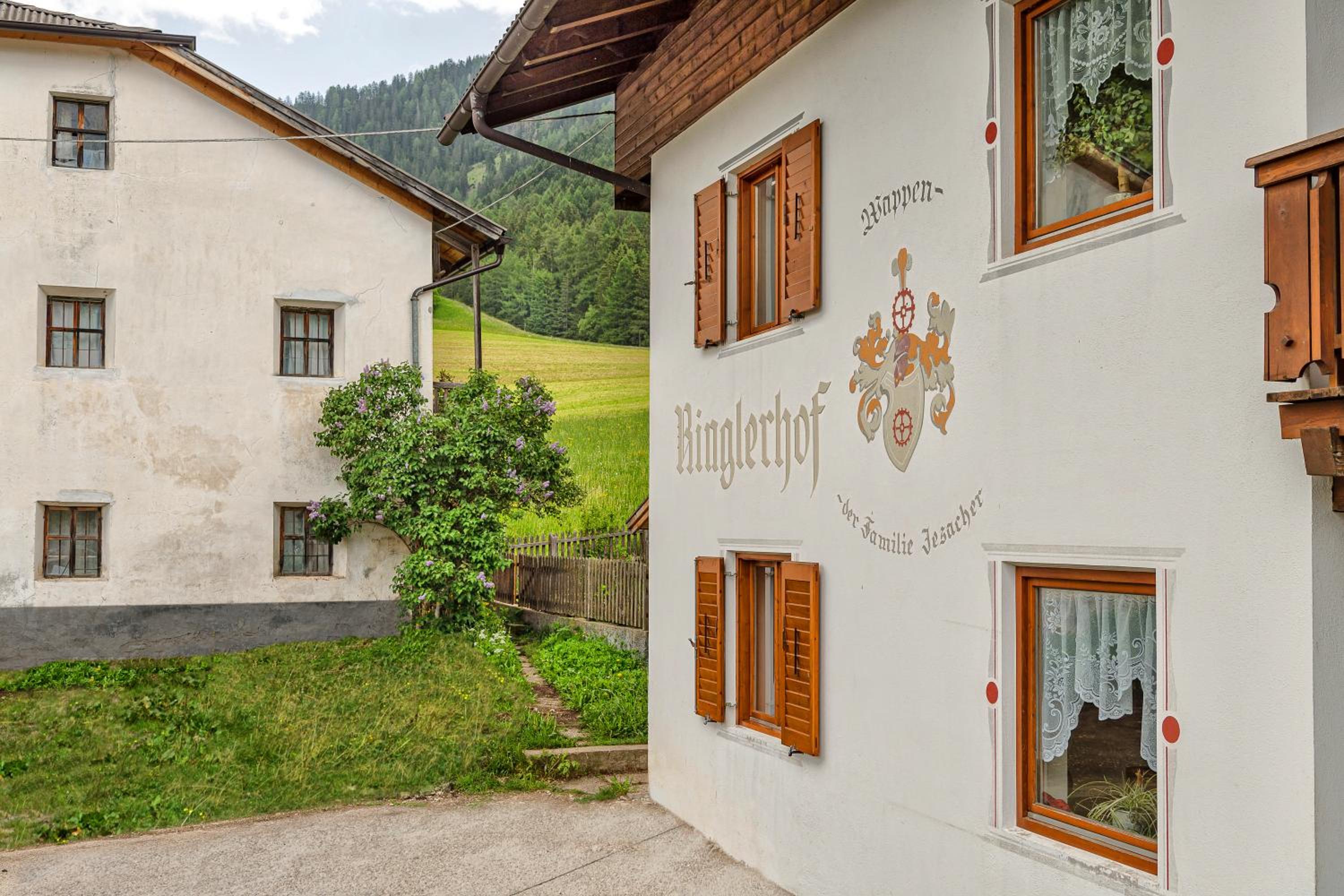 Ringlerhof view 4
