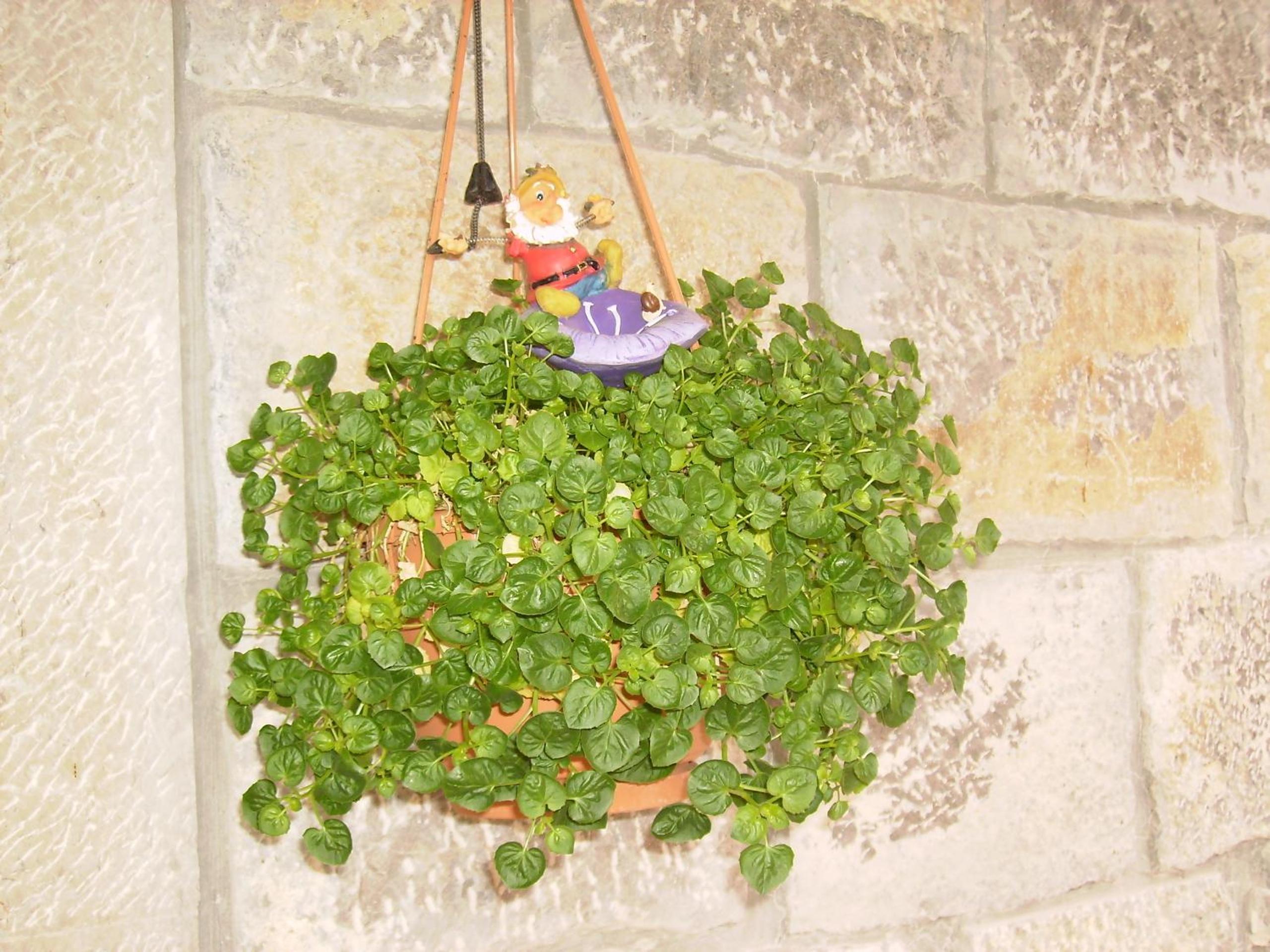 Casa Rural Carrio