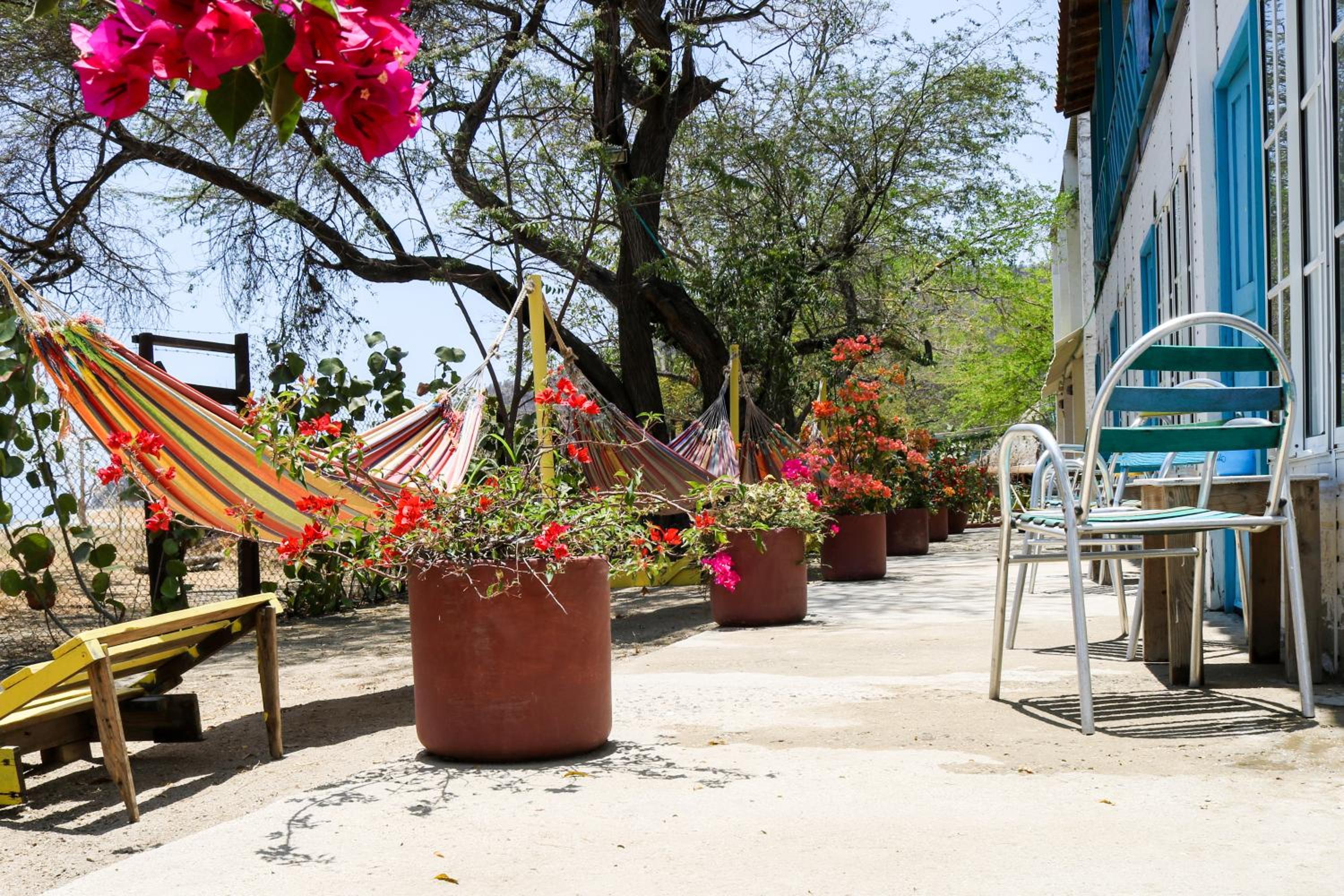 Playa del Ritmo Beach Hostel & Bar - Adults Only