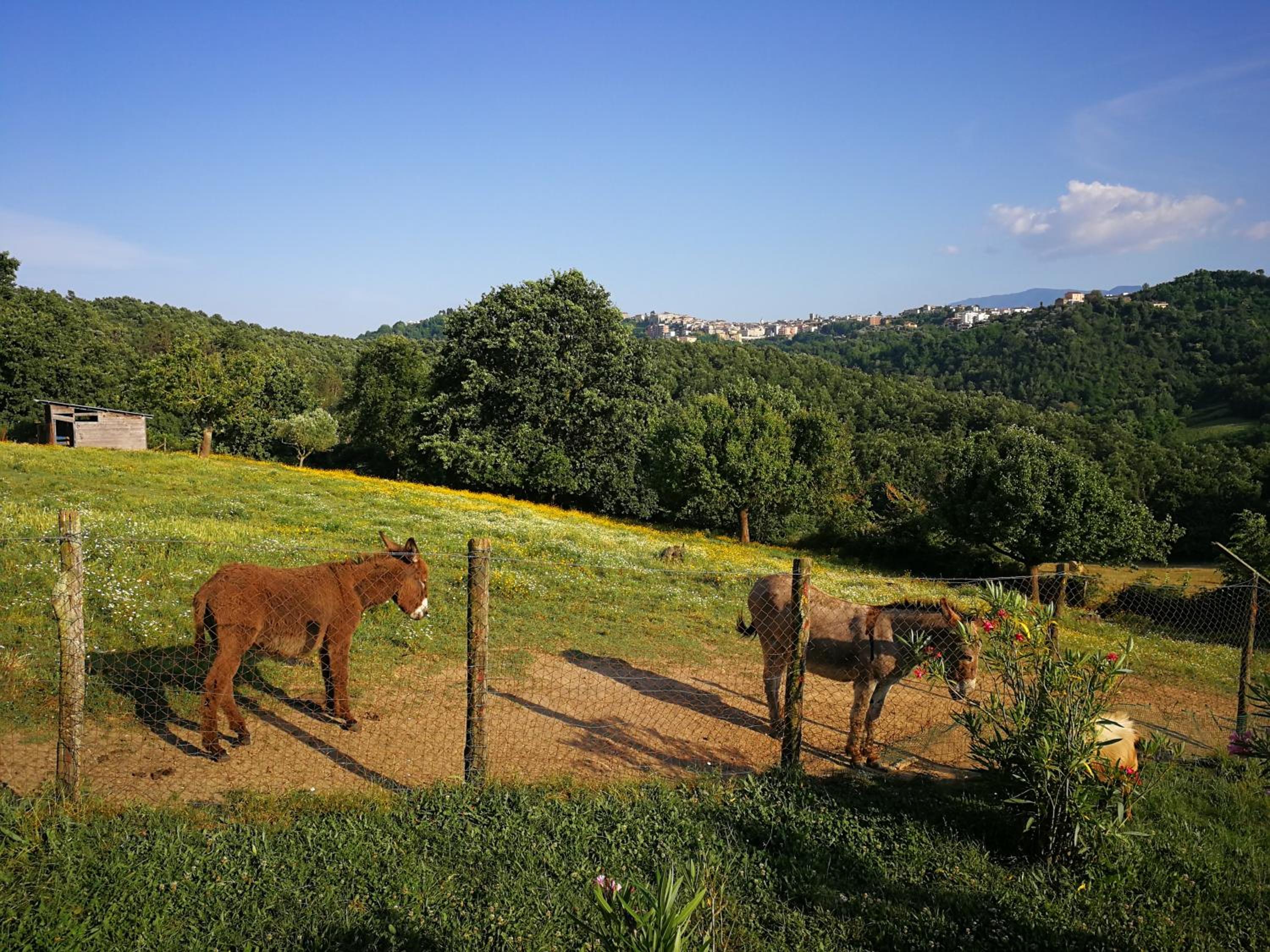 Agriturismo Cisogna